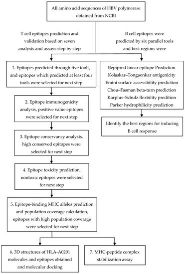 In Silico Analysis of Epitope-Based Vaccine Candidates against Hepatitis B Virus Polymerase Protein In Silico Analysis of Epitope-Based Vaccine Candidates against Hepatitis B Virus Polymerase Protein