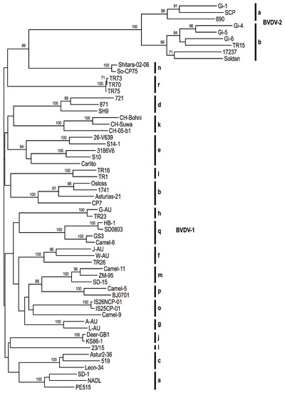 Variability and Global Distribution of Subgenotypes of Bovine Viral Diarrhea Virus Variability and Global Distribution of Subgenotypes of Bovine Viral Diarrhea Virus