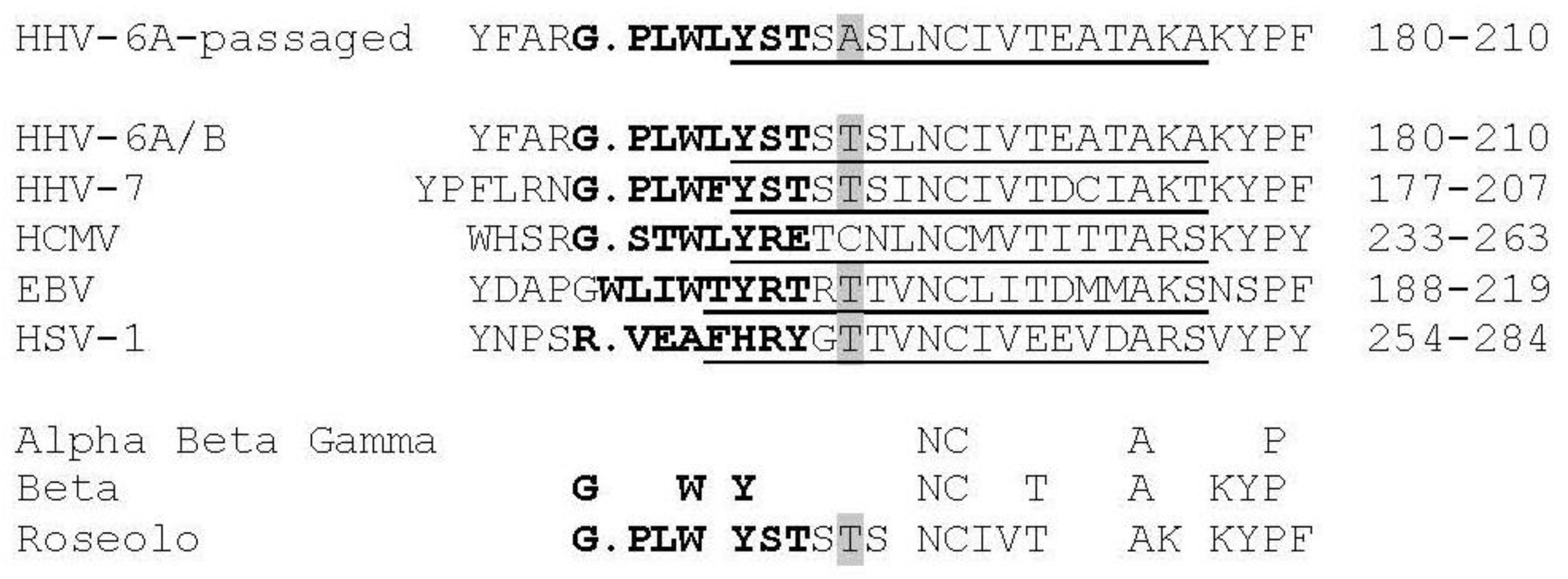 Viruses 10 00016 g002