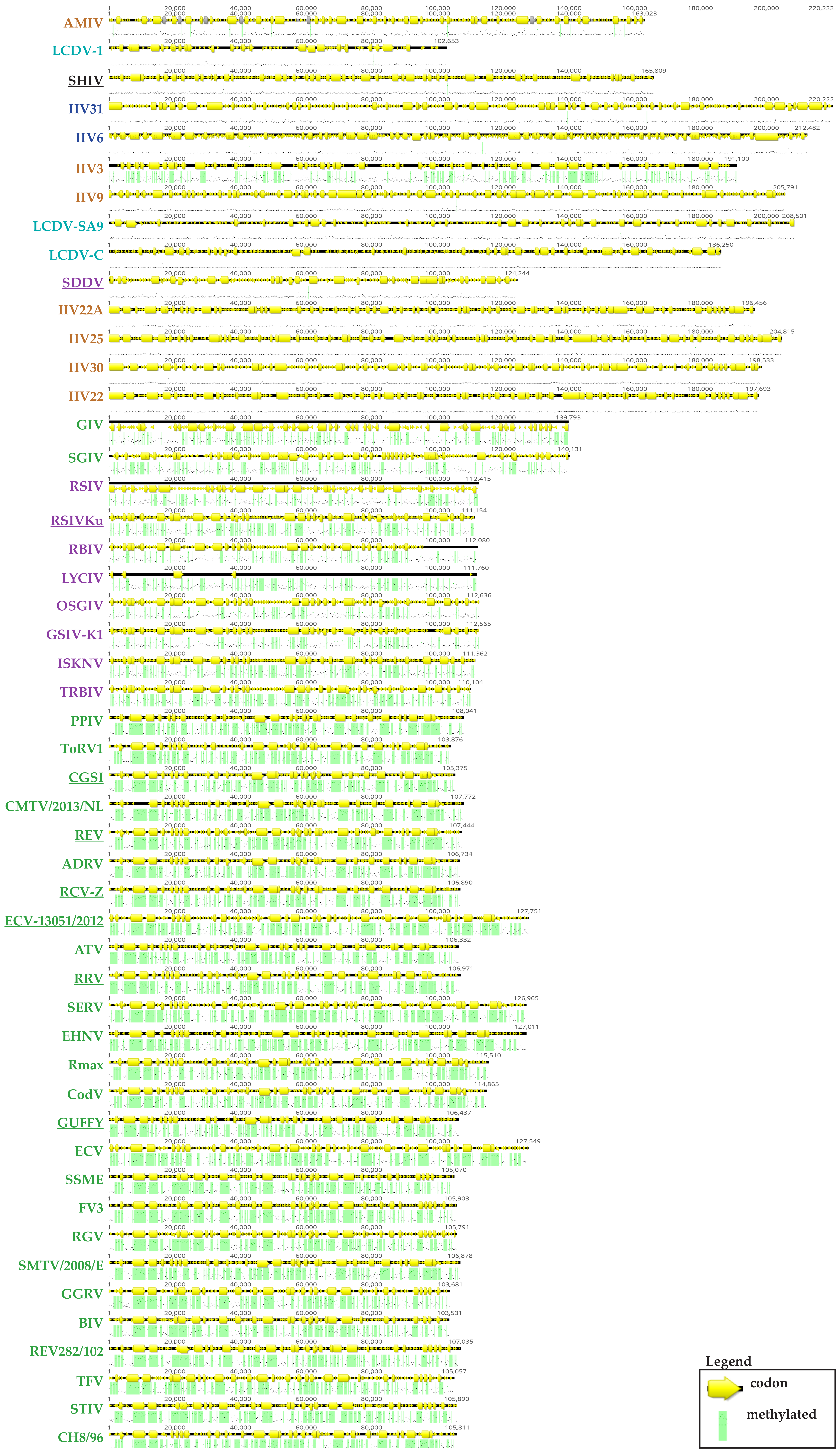 Viruses 10 00161 g005 Viruses 10 00161 g005