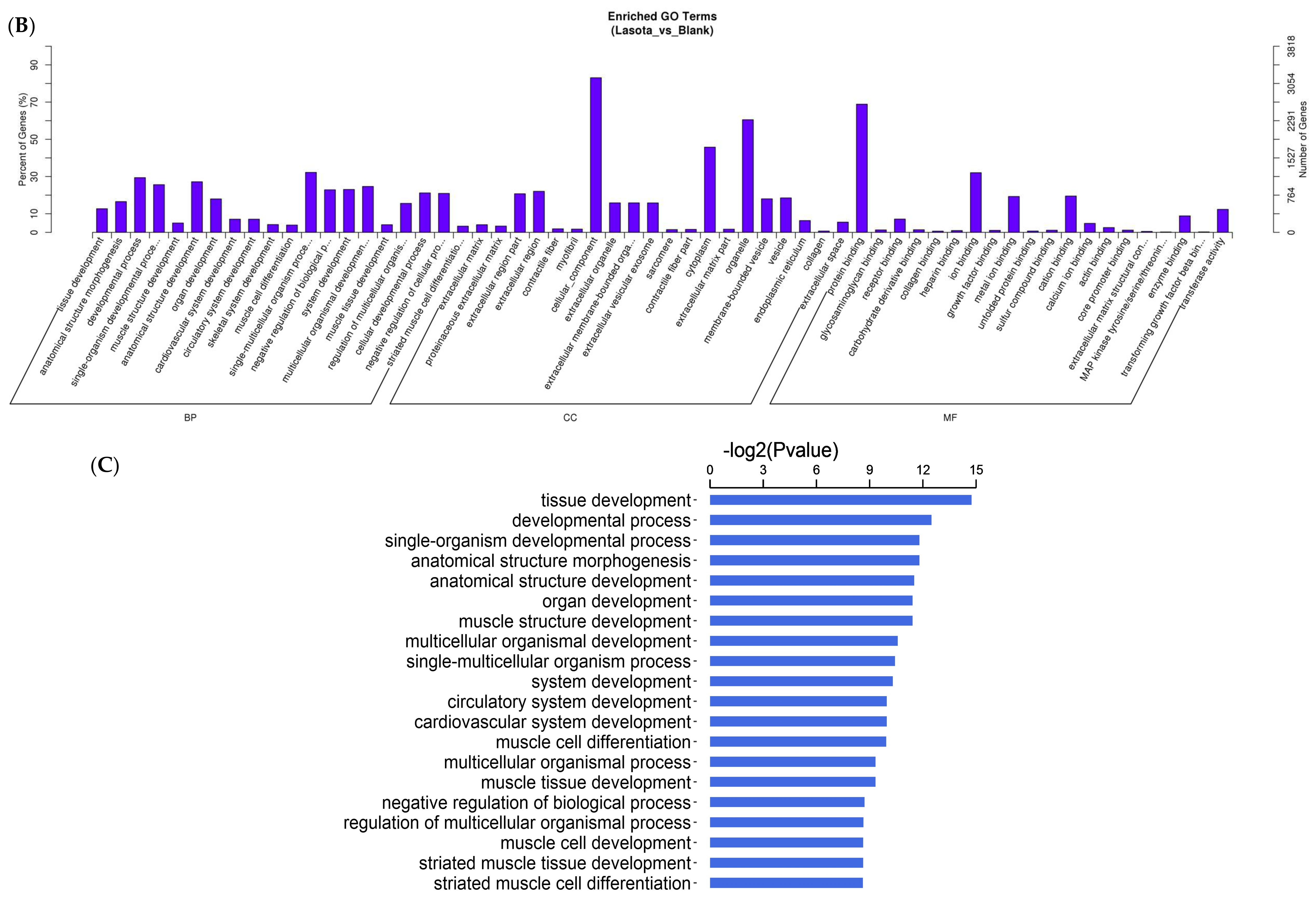 Viruses 10 00162 g002b