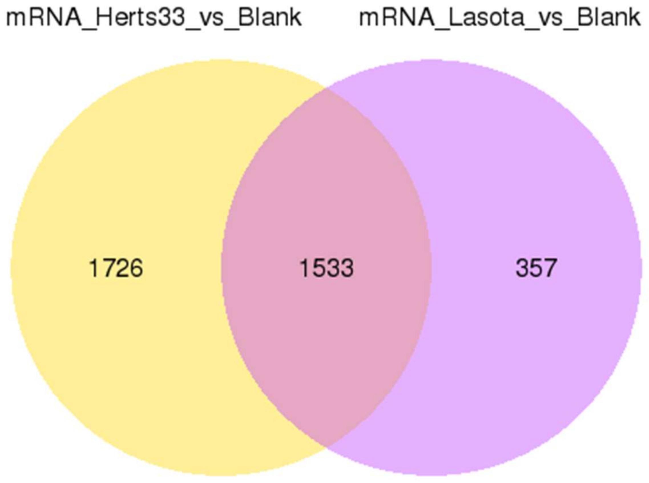 Viruses 10 00162 g004