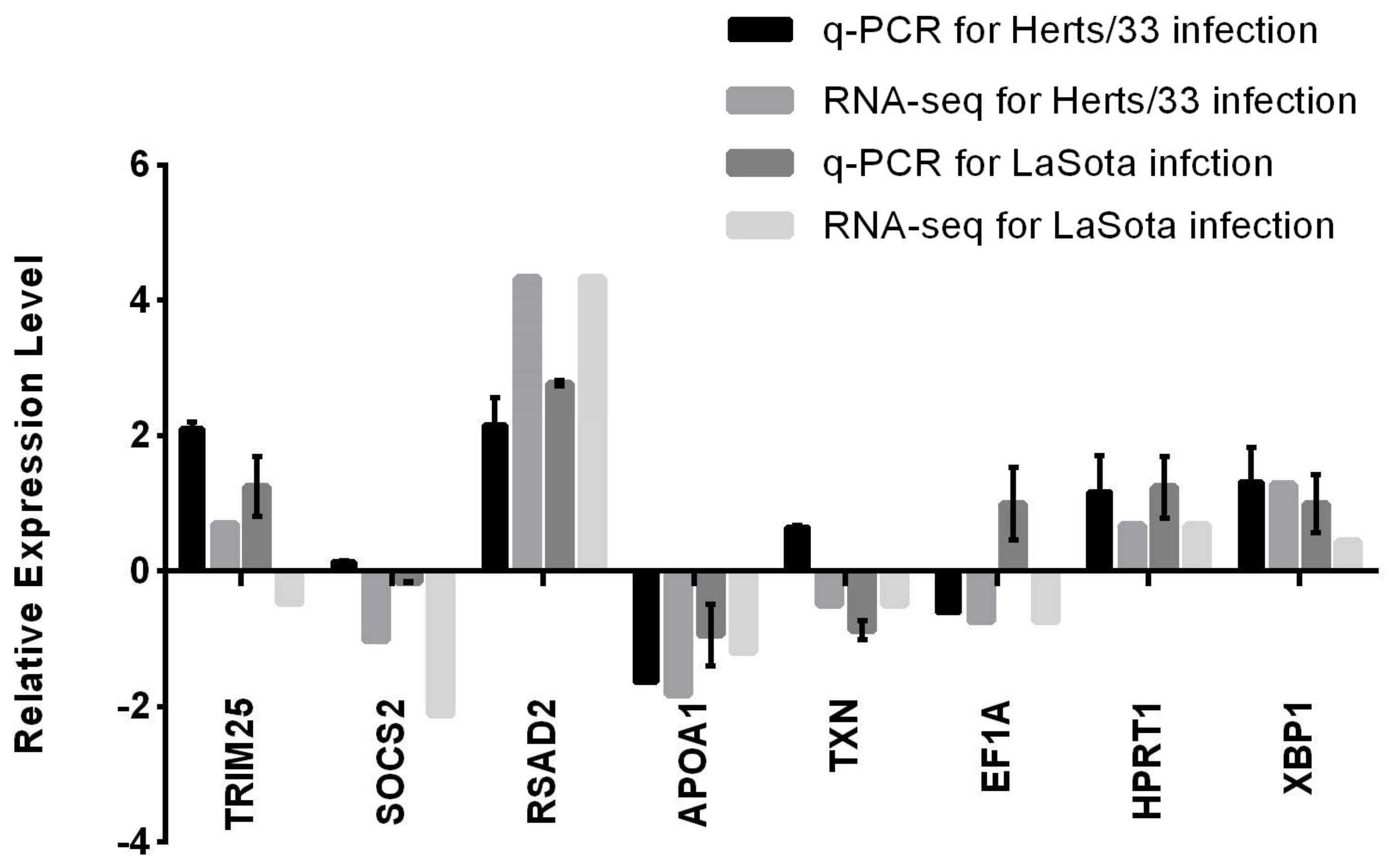 Viruses 10 00162 g006