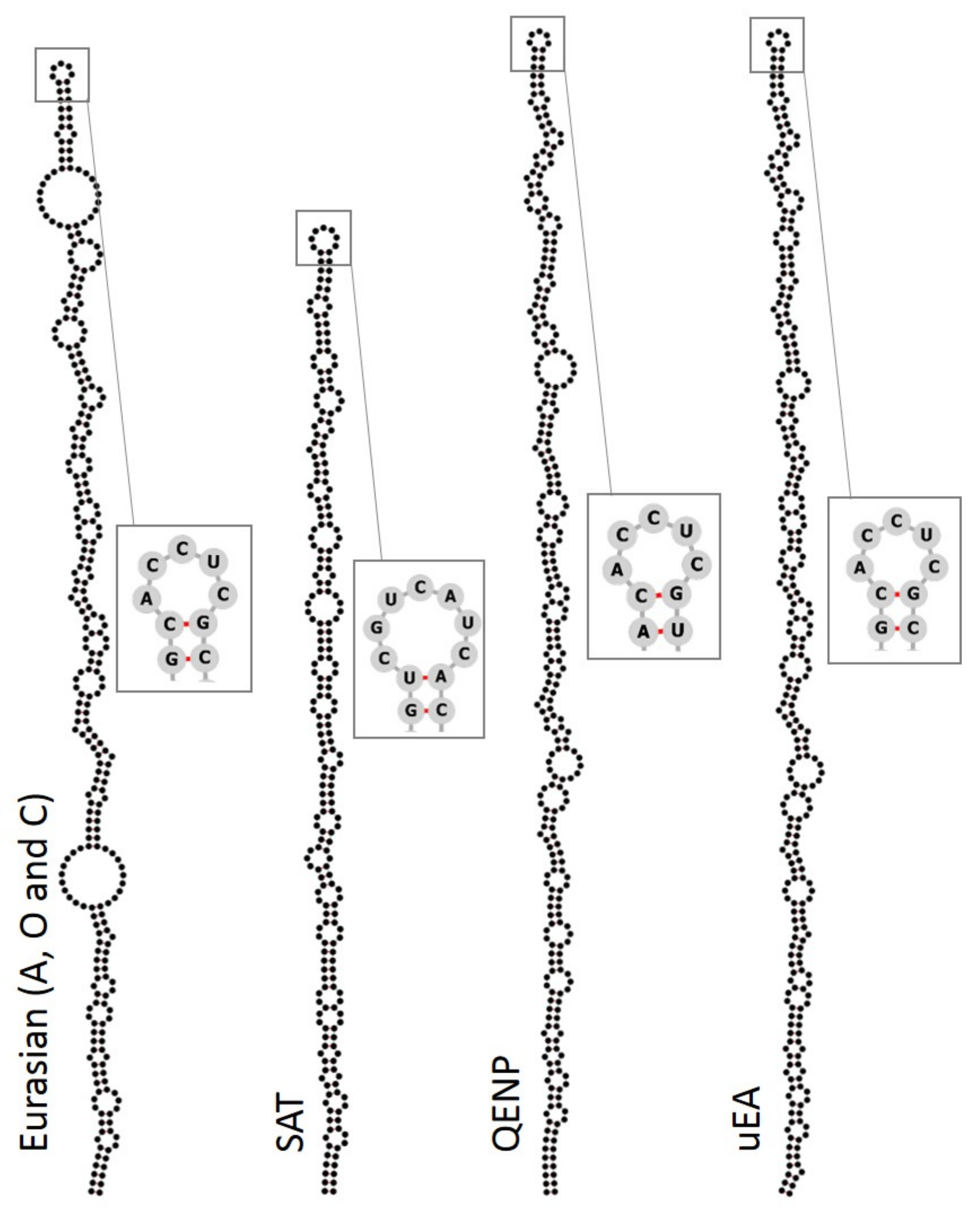 Viruses 10 00192 g002