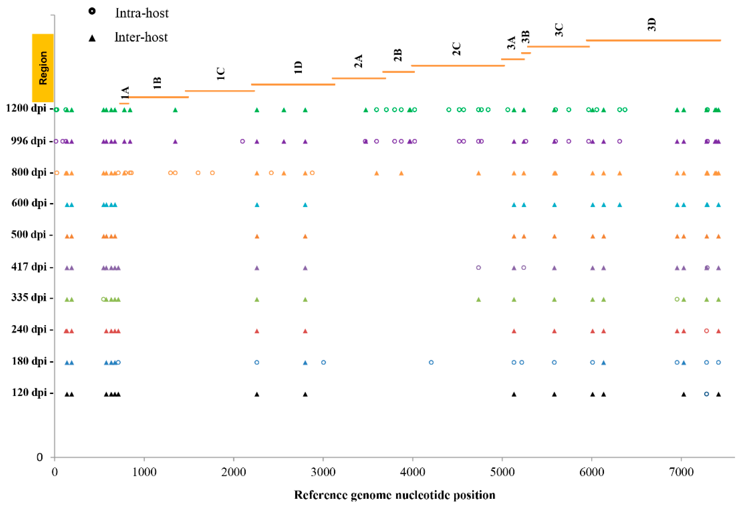 Viruses 10 00619 g003 Viruses 10 00619 g003