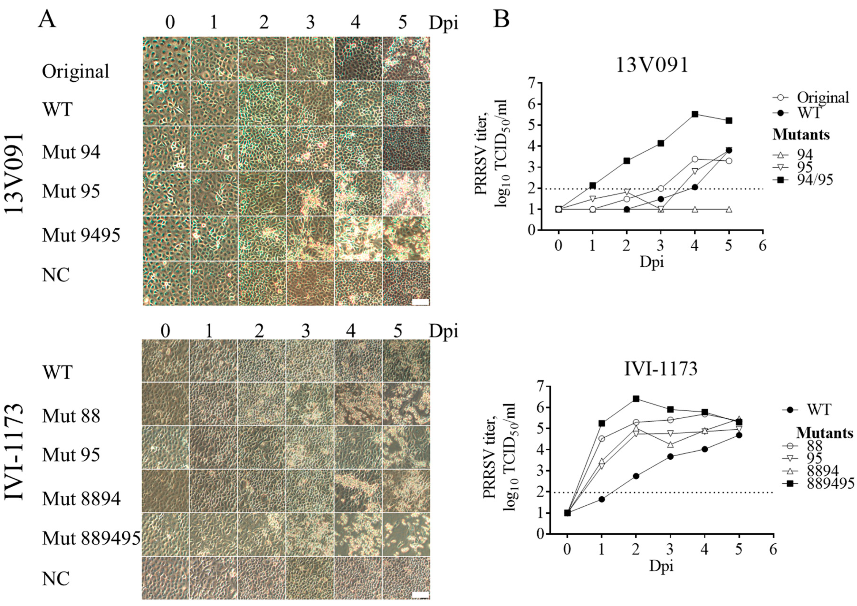 Viruses 11 00036 g004 Viruses 11 00036 g004