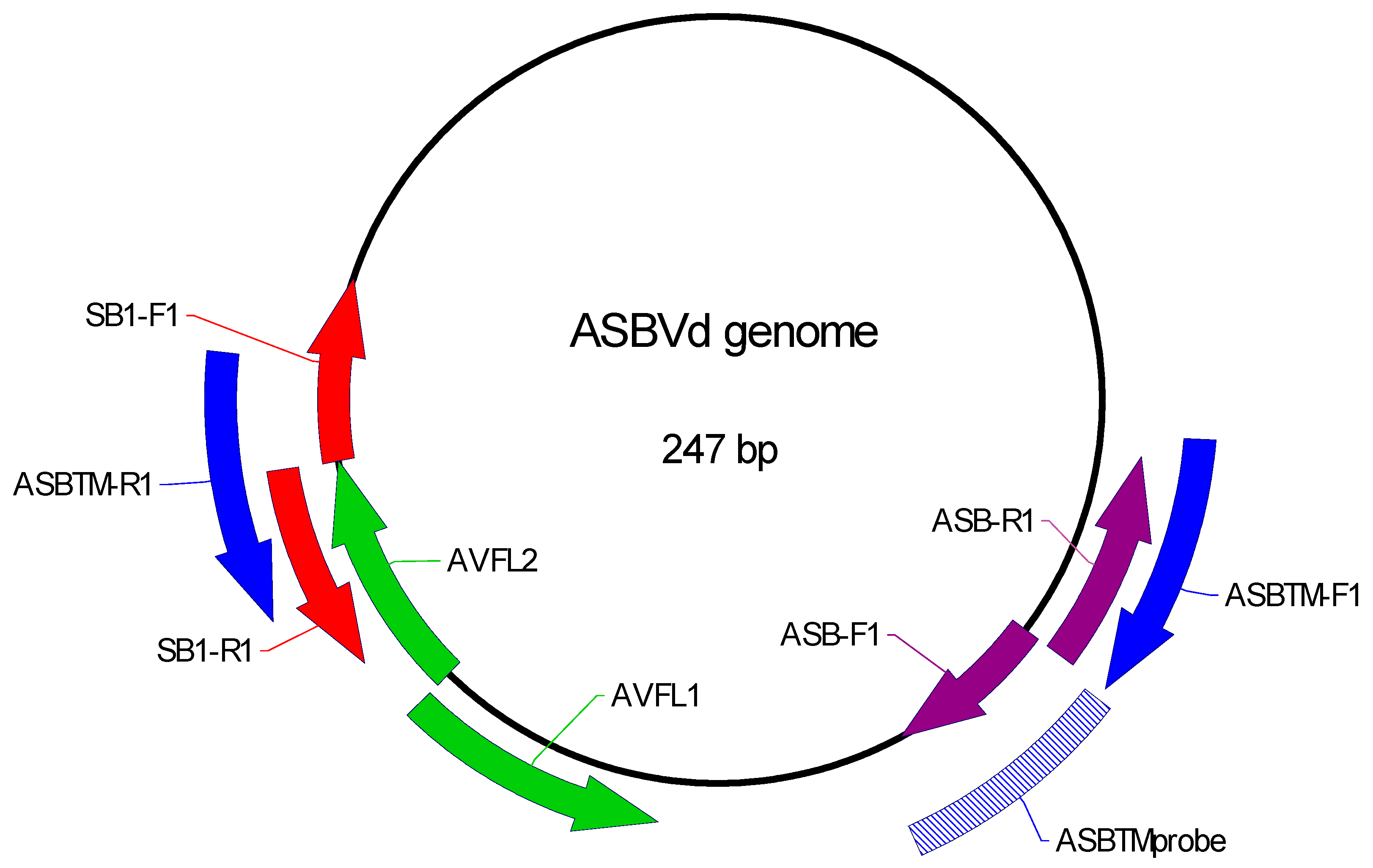 Viruses 11 00512 g001 Viruses 11 00512 g001