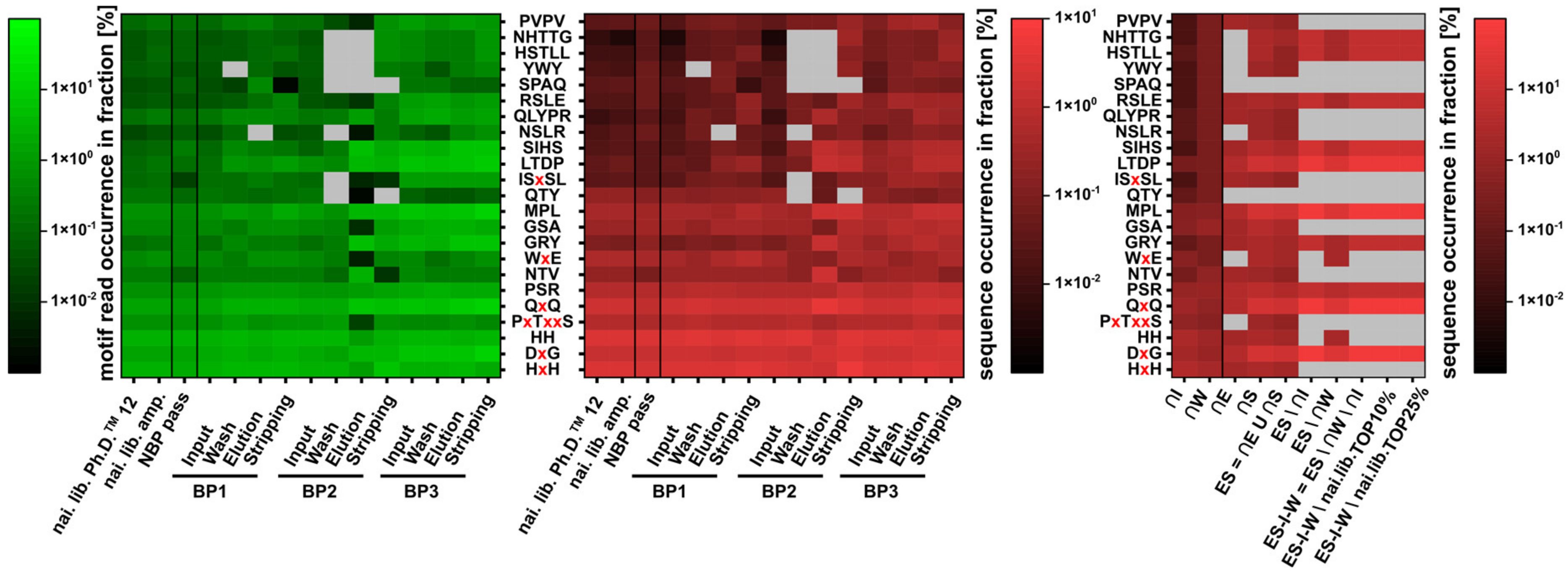 Viruses 12 01360 g004