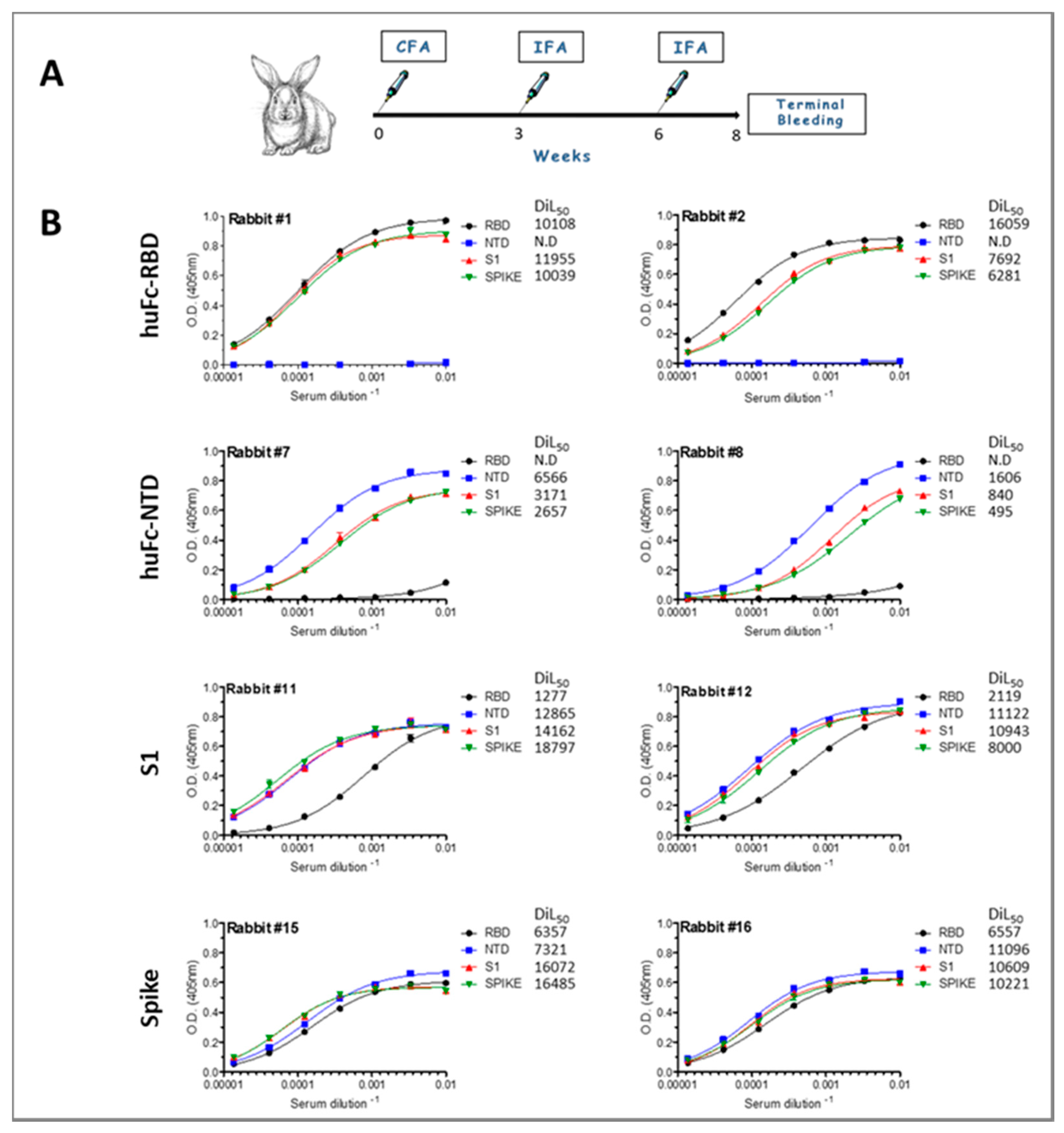 Viruses 13 00566 g002