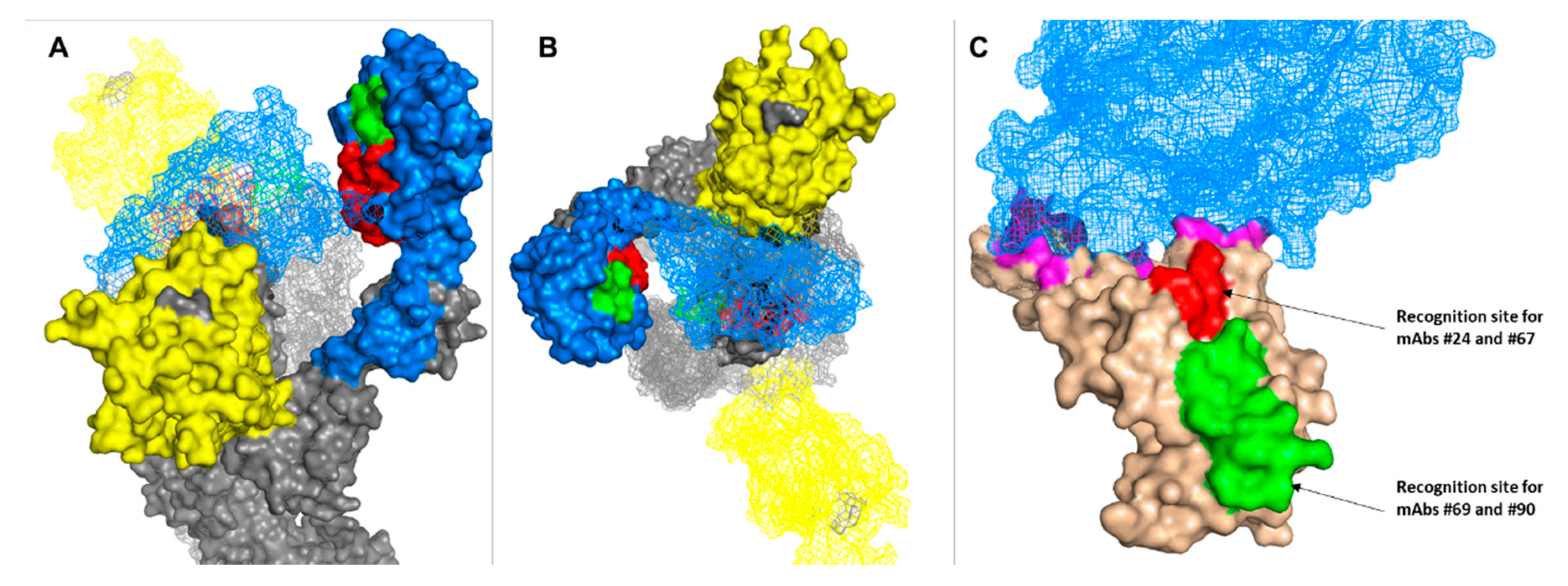 Viruses 13 00566 g007
