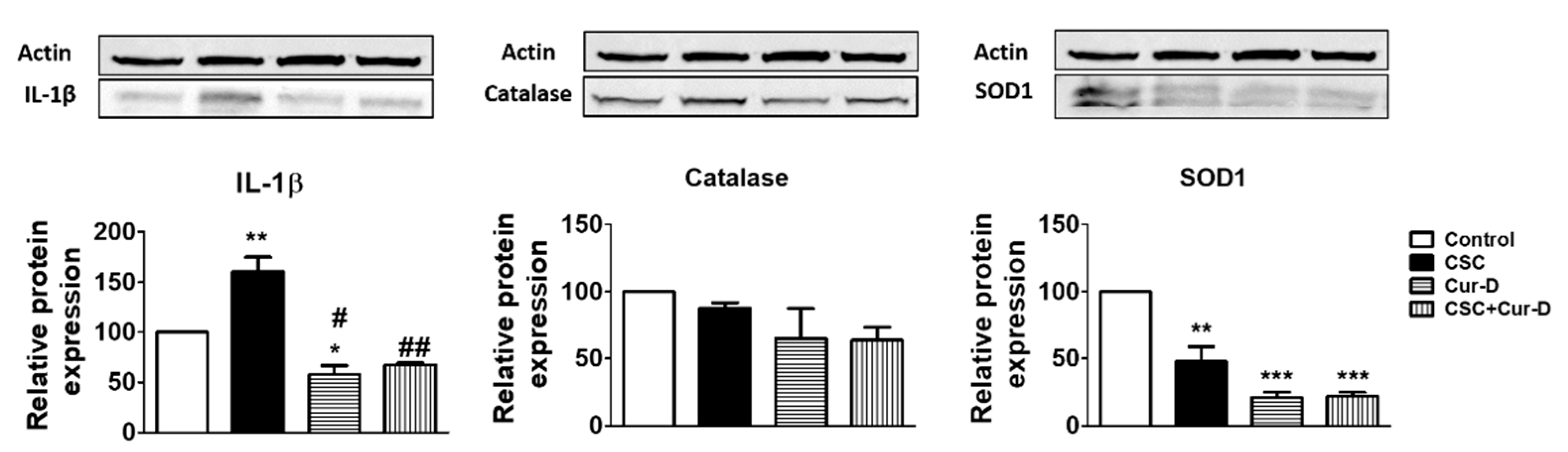 Viruses 13 01004 g006