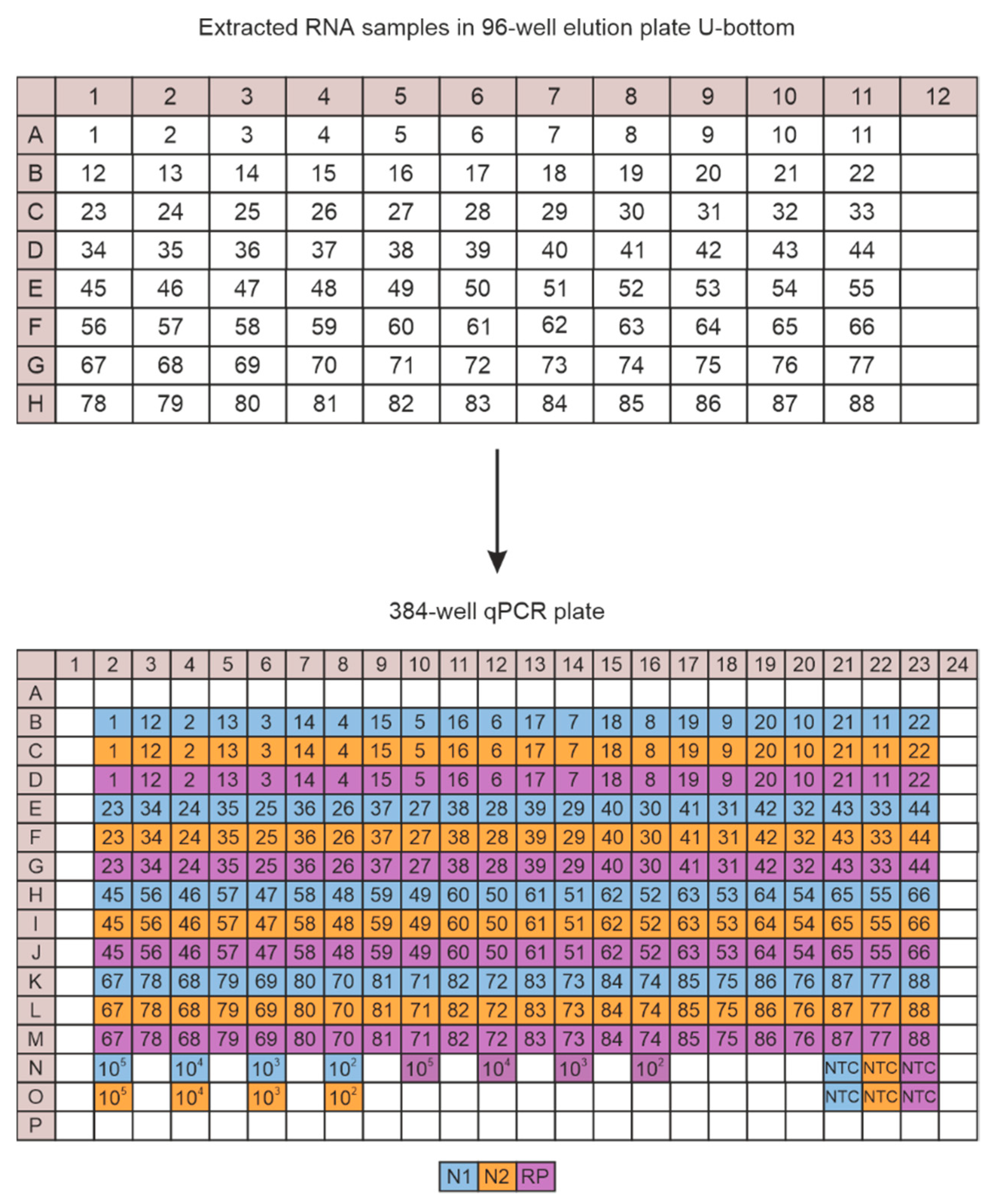 Viruses 13 01712 g001