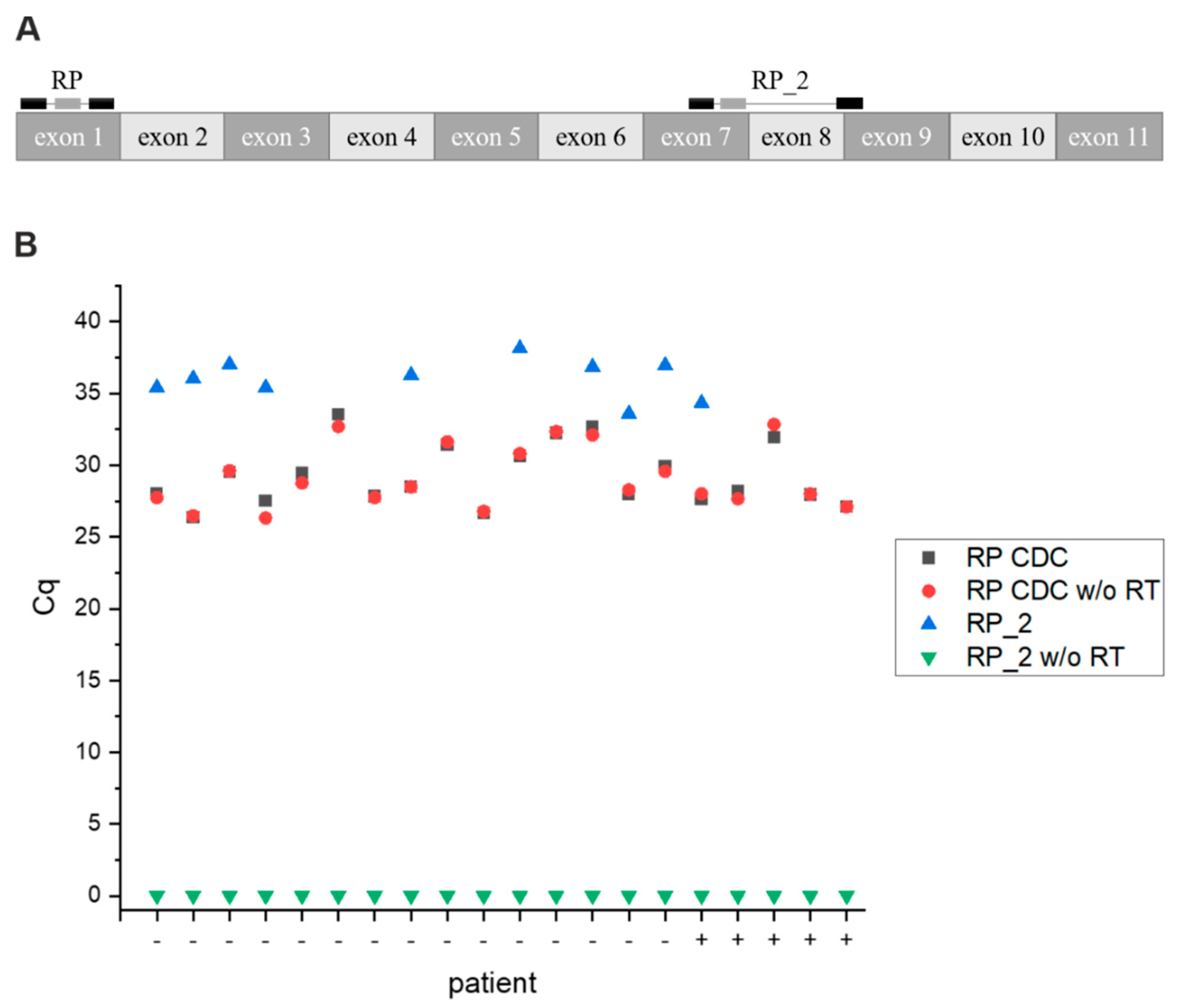 Viruses 13 01712 g006