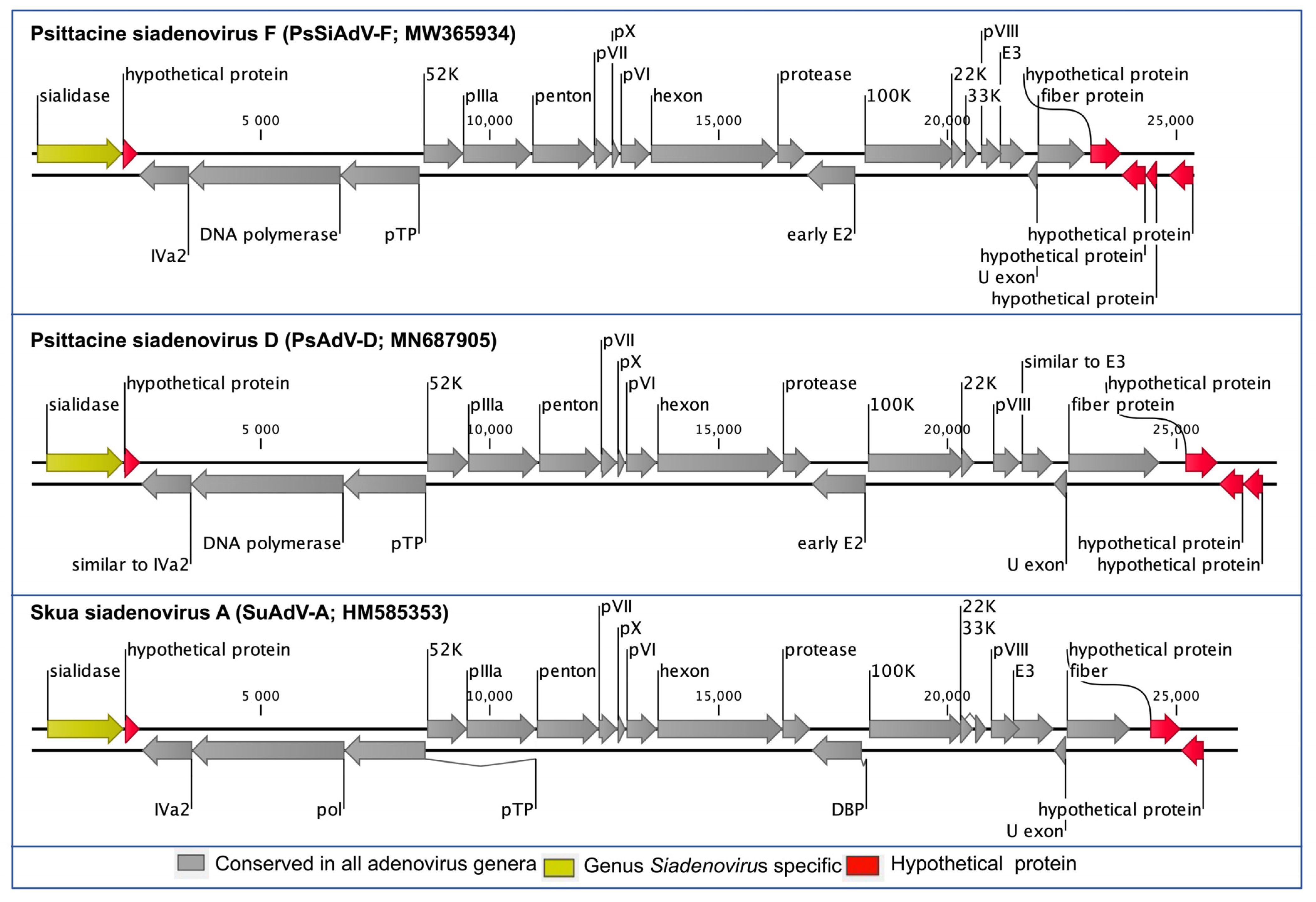 Viruses 13 01714 g001