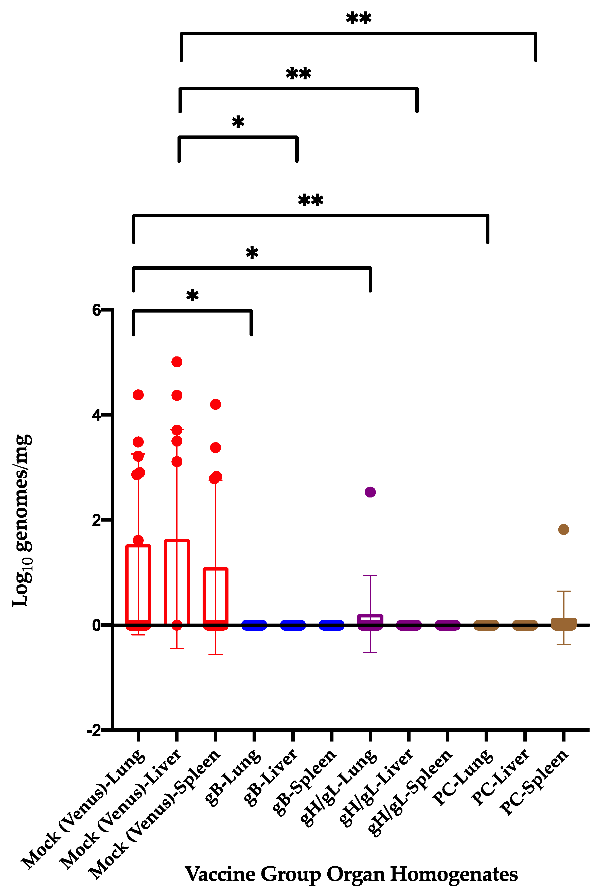 Viruses 13 02551 g003