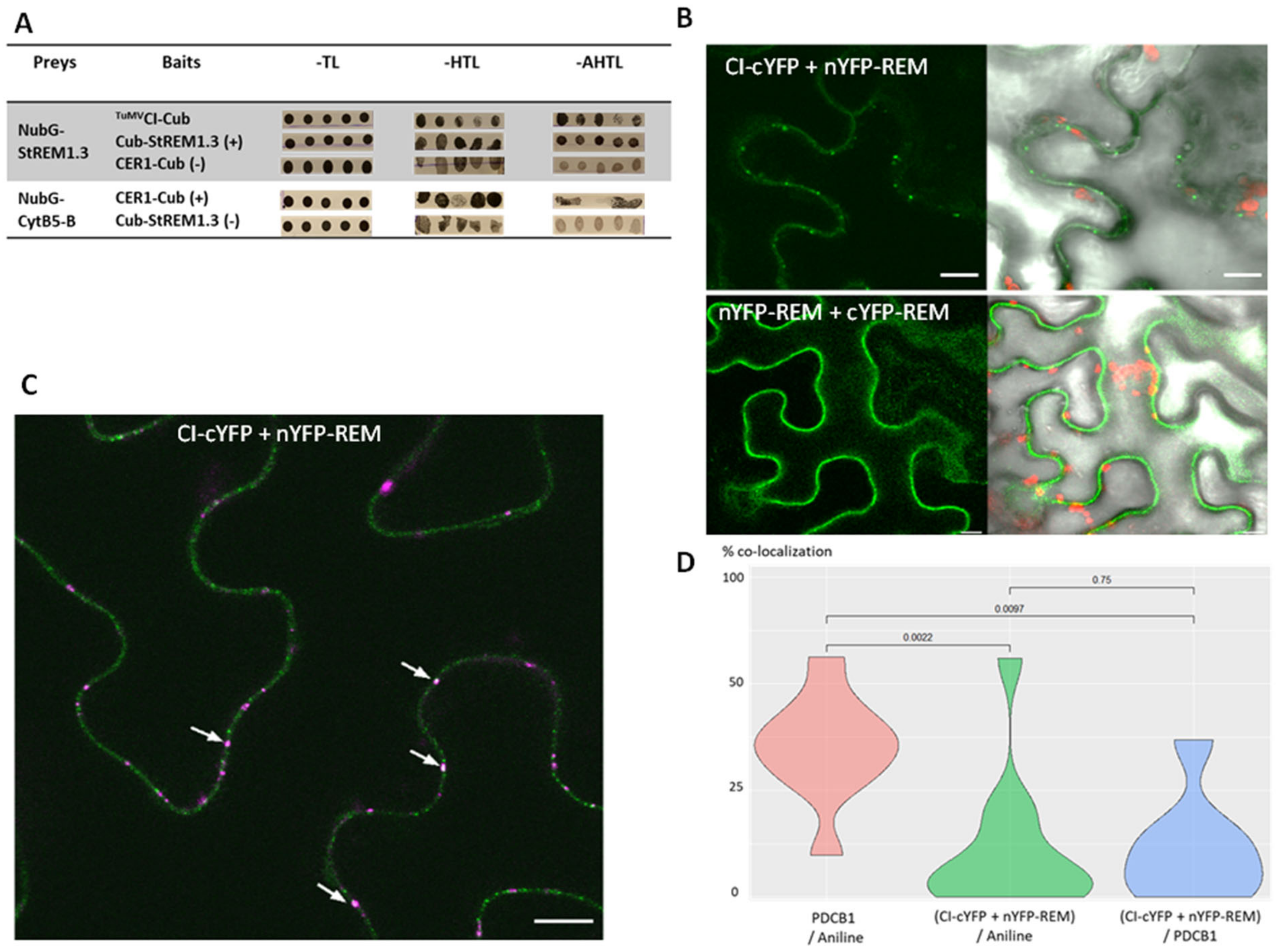 Viruses 14 00574 g007