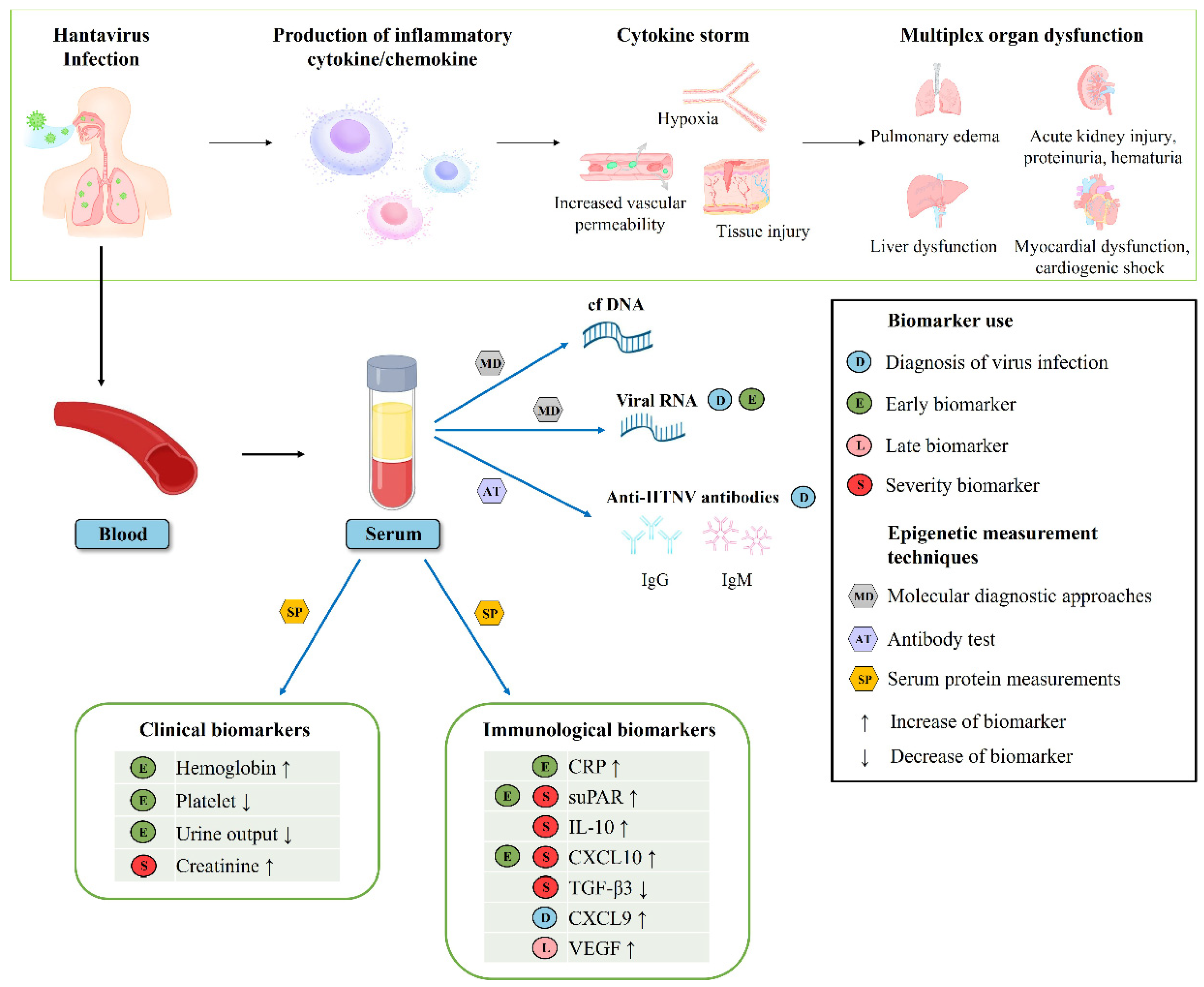 Viruses Free Full Text Clinical And Immunological Predictors Of