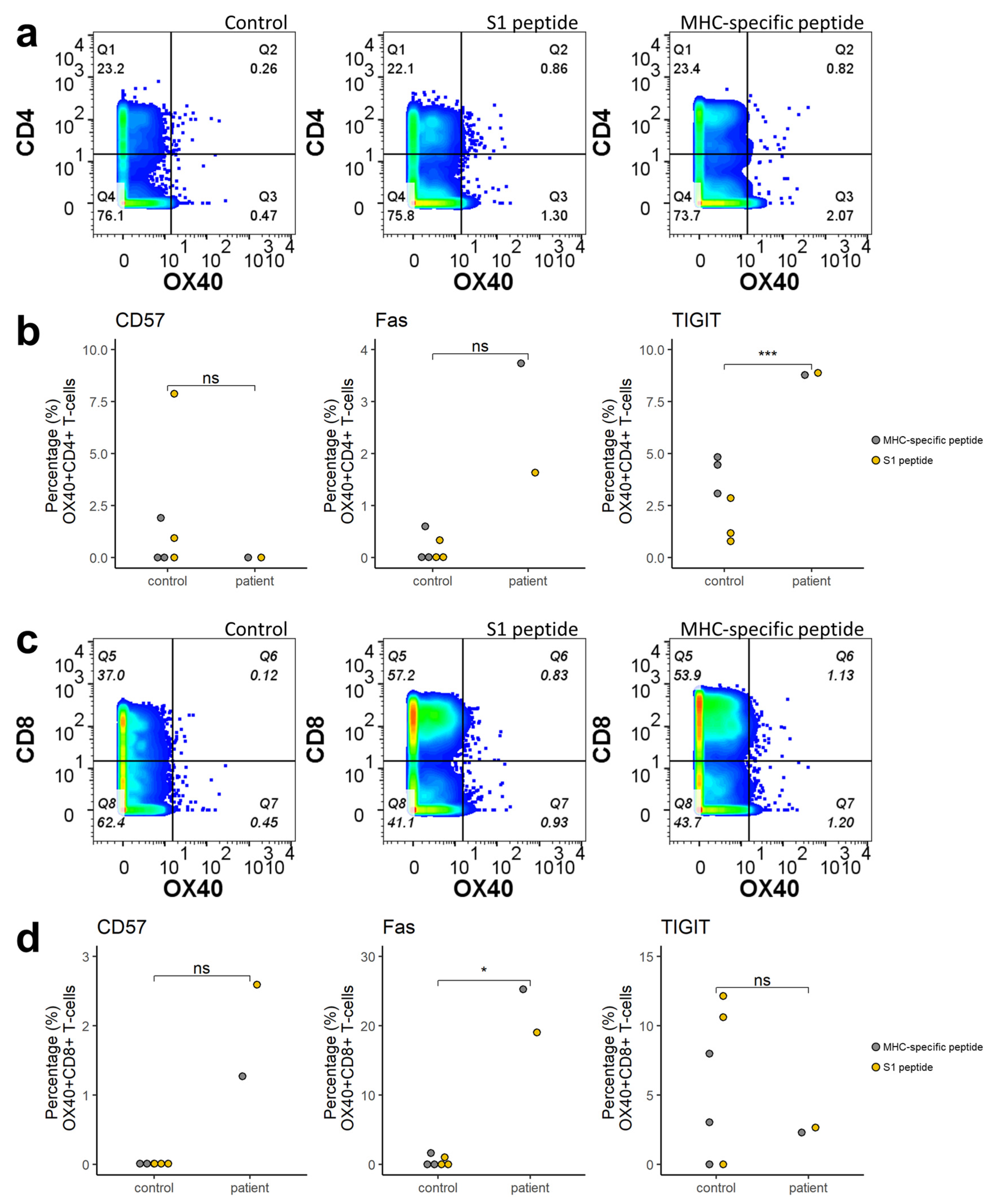Viruses 14 00752 g004