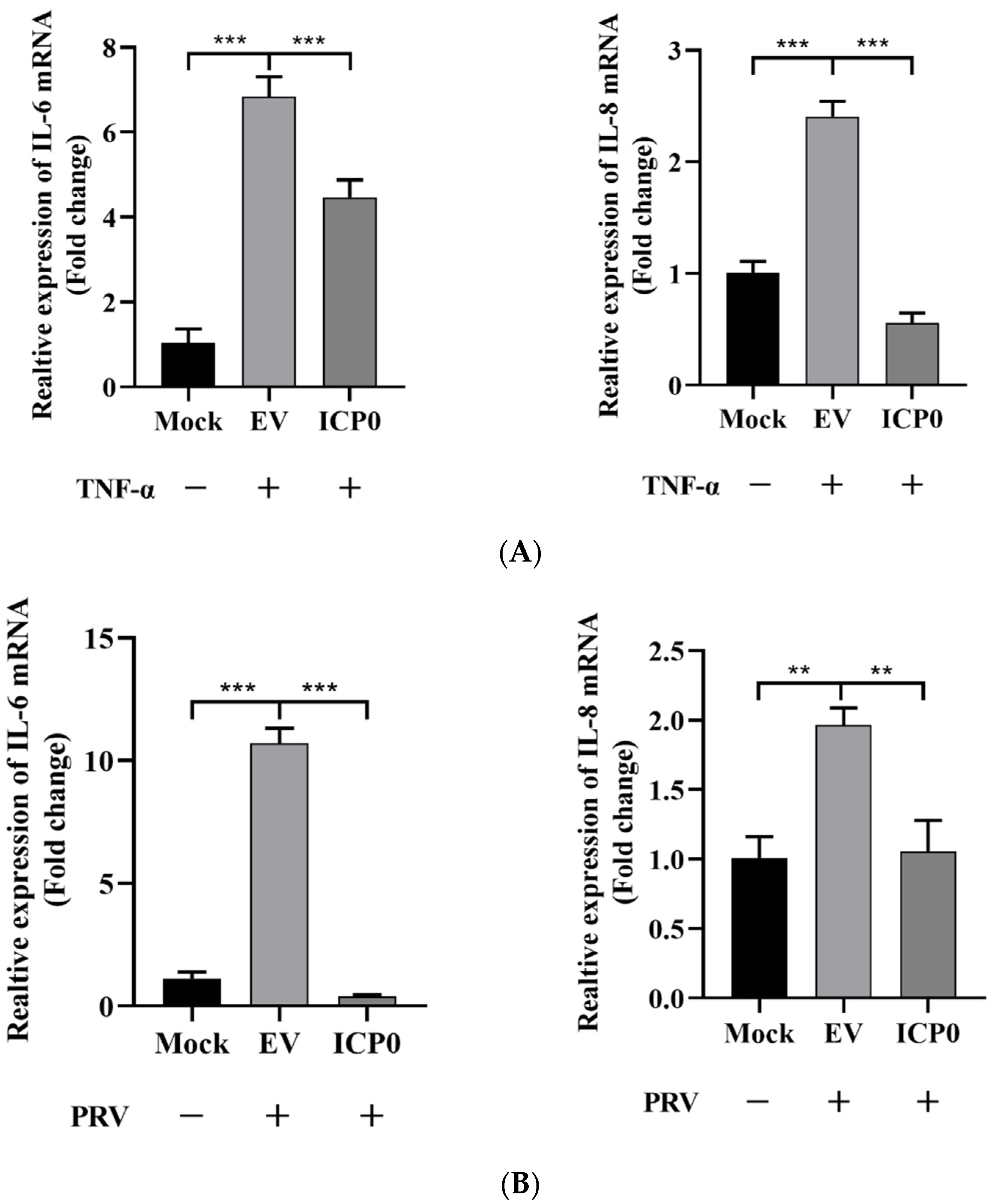 Viruses 14 00954 g002