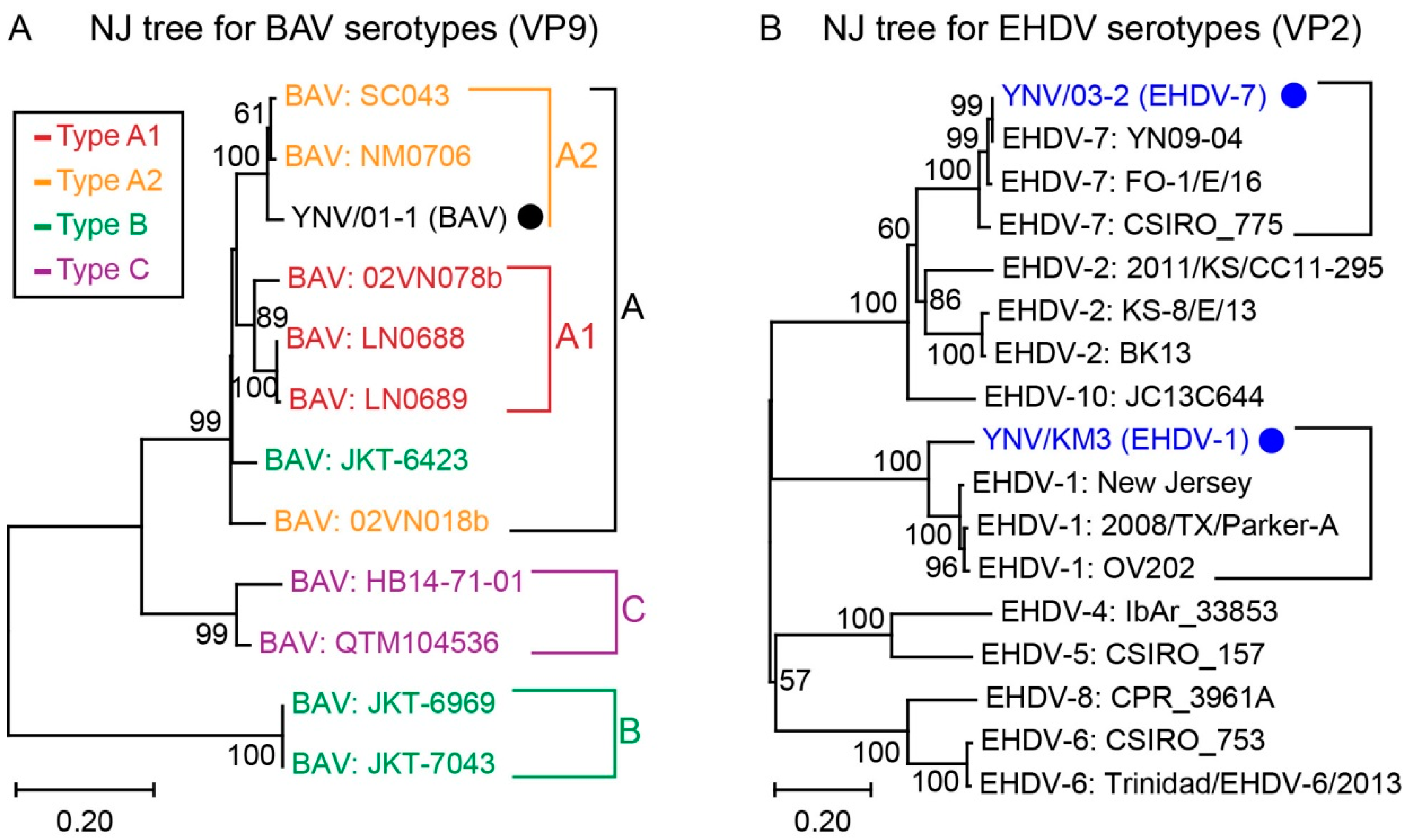 Viruses 14 00971 g004