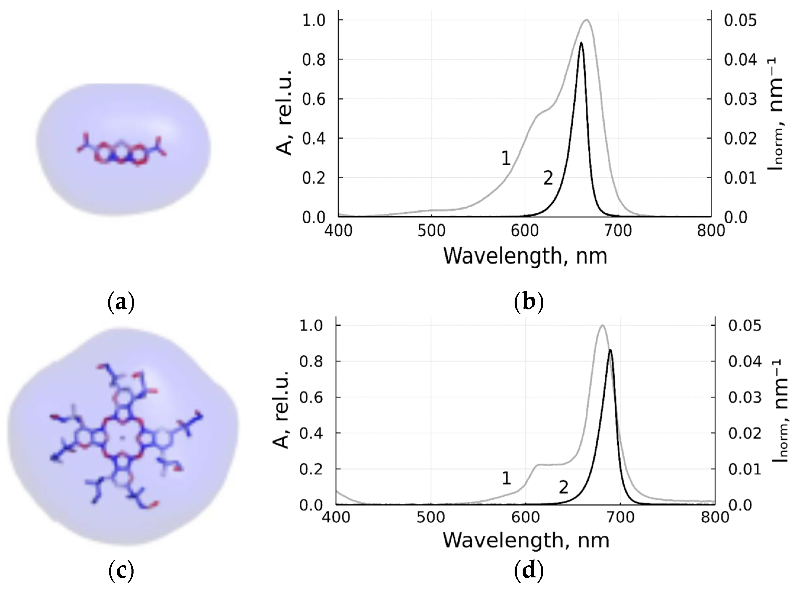 Viruses 14 01053 g001