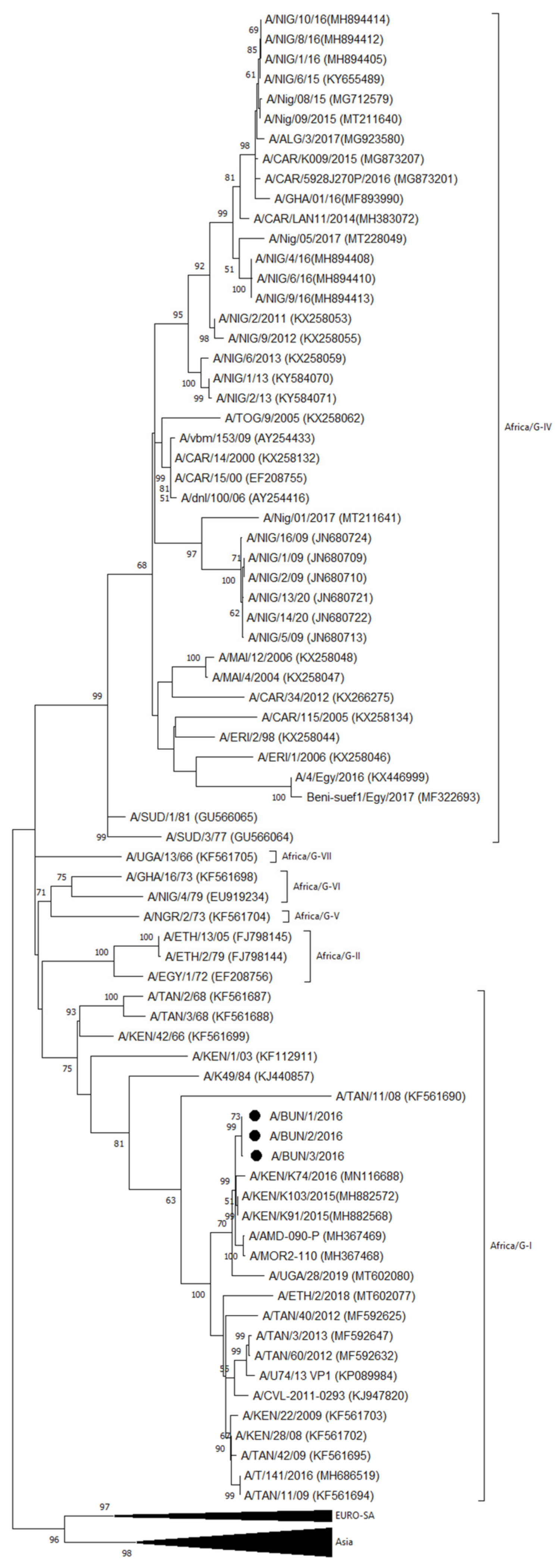 Viruses 14 01077 g003