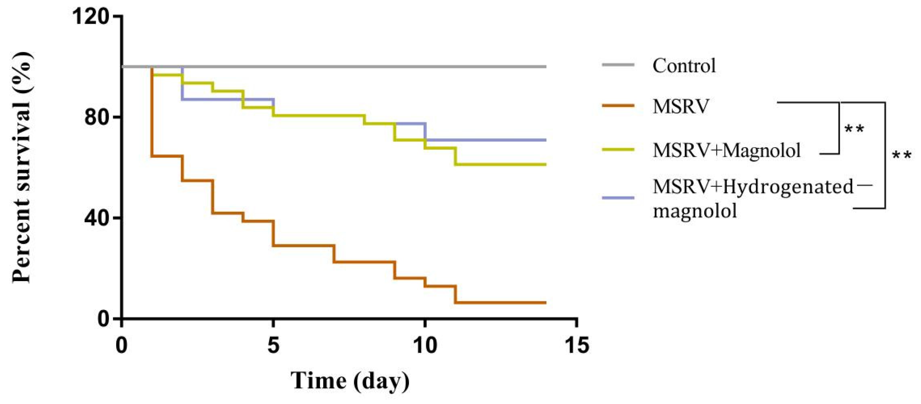 Viruses 14 01421 g008