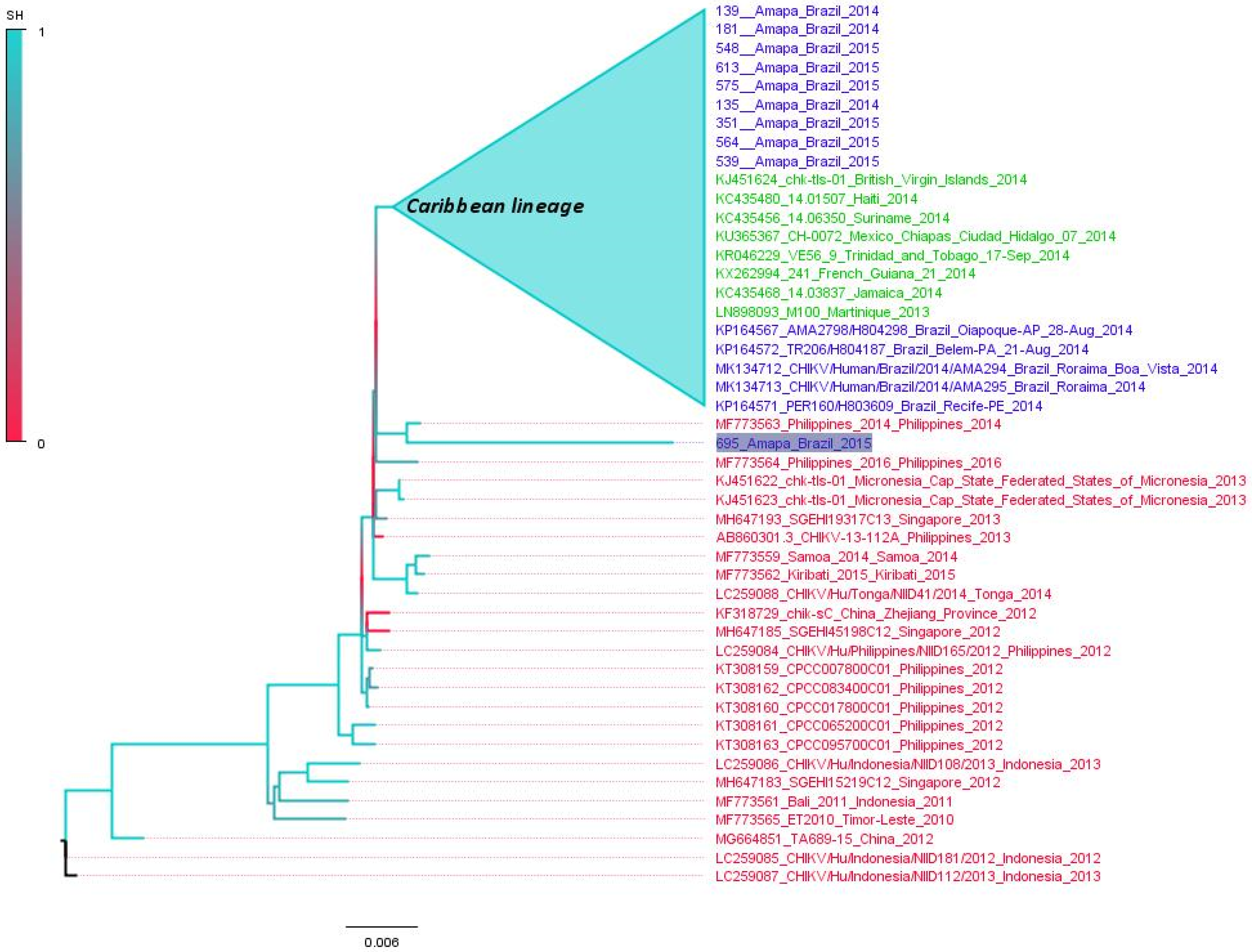Viruses 14 01445 g003