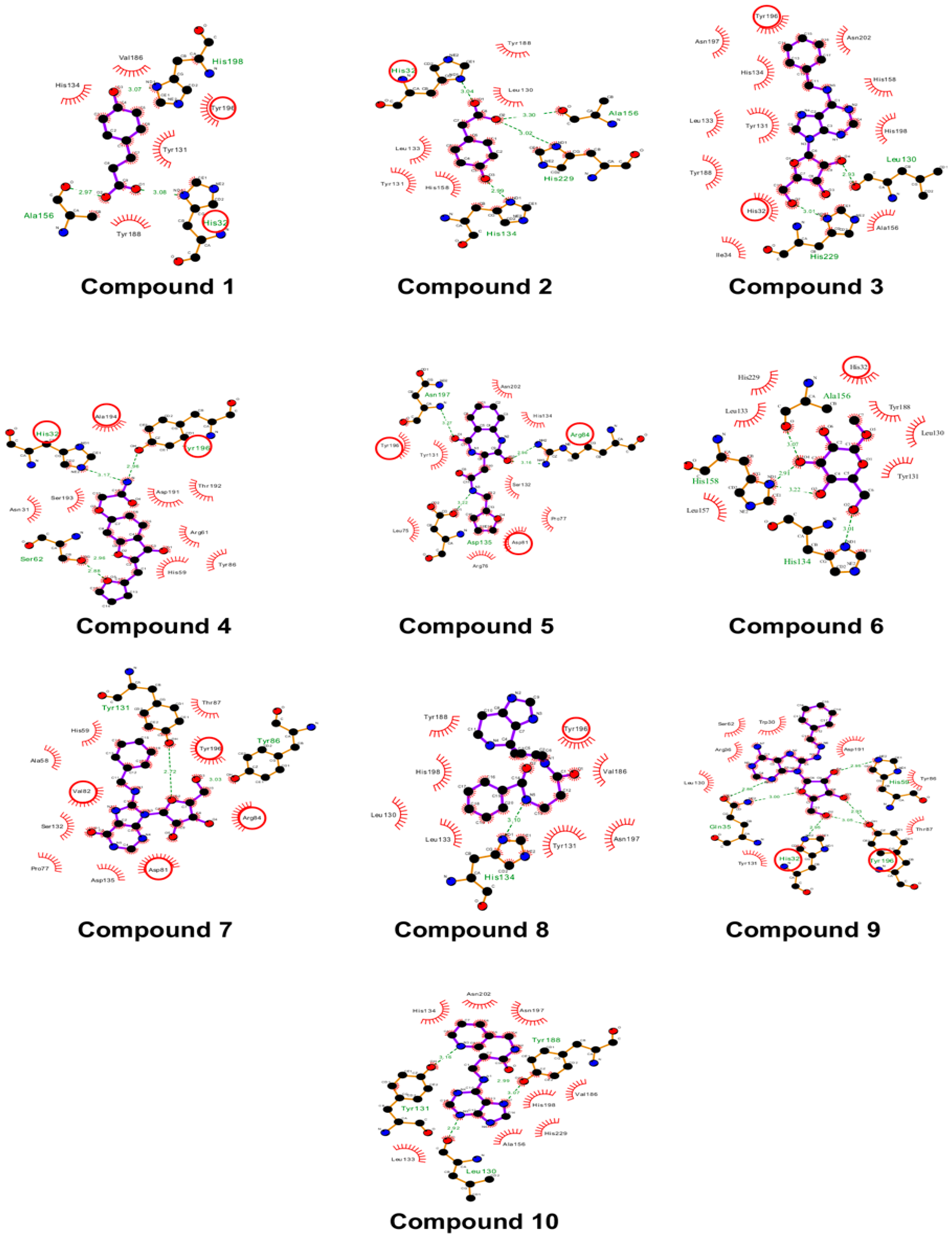 Viruses 14 01778 g004