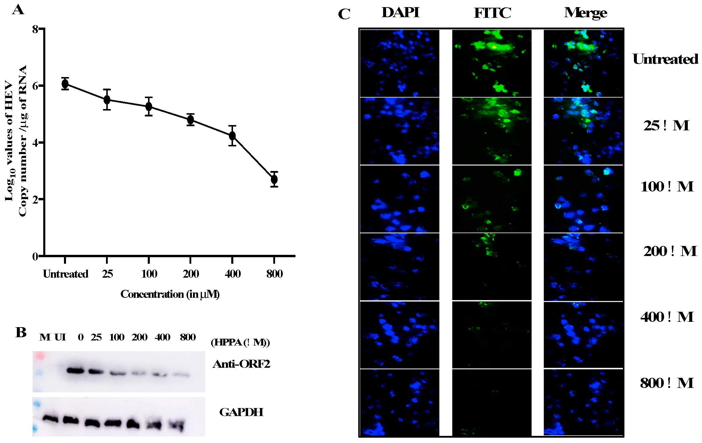 Viruses 14 01778 g009
