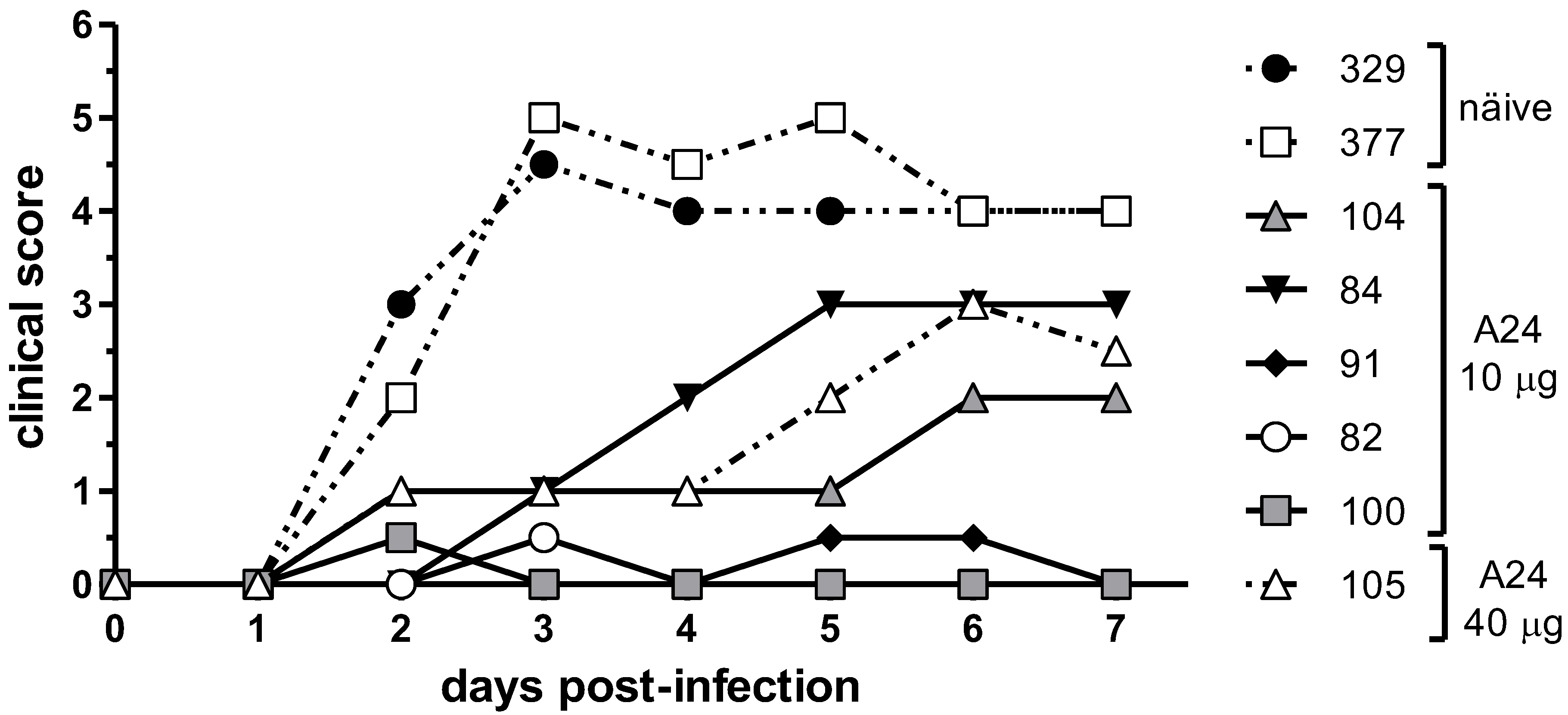 Viruses 14 01781 g001