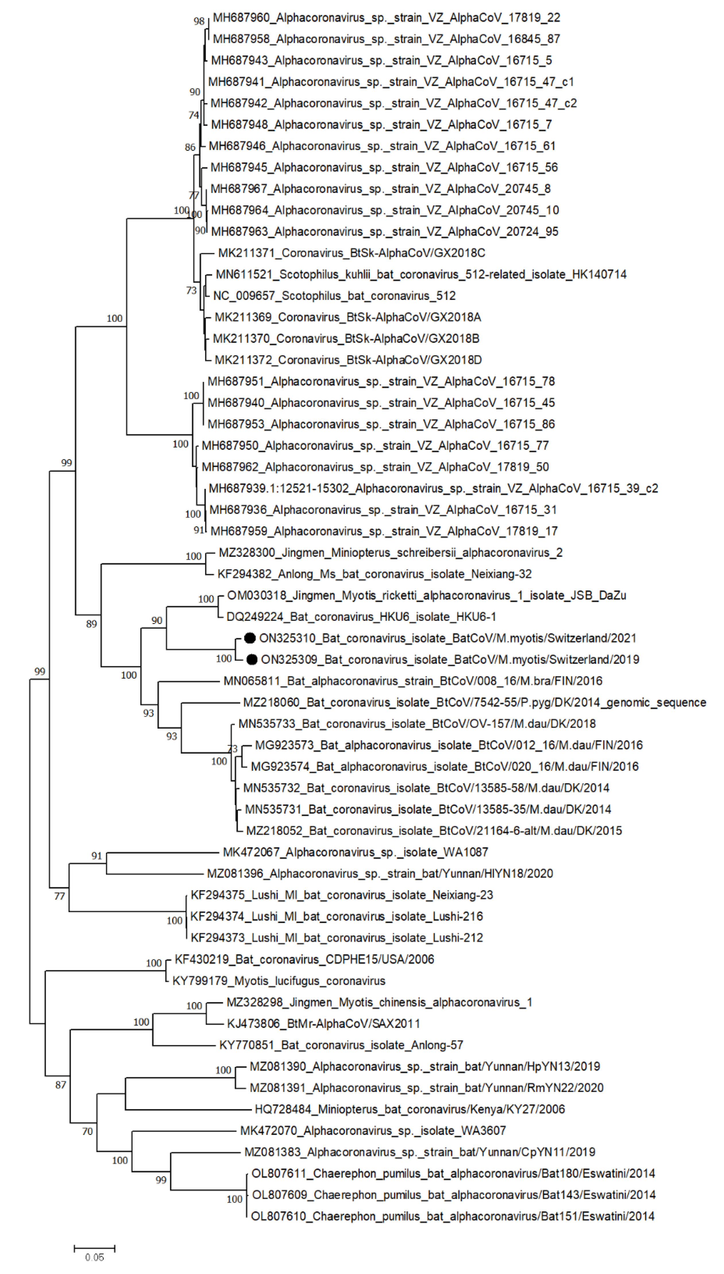 Viruses 14 01911 g006