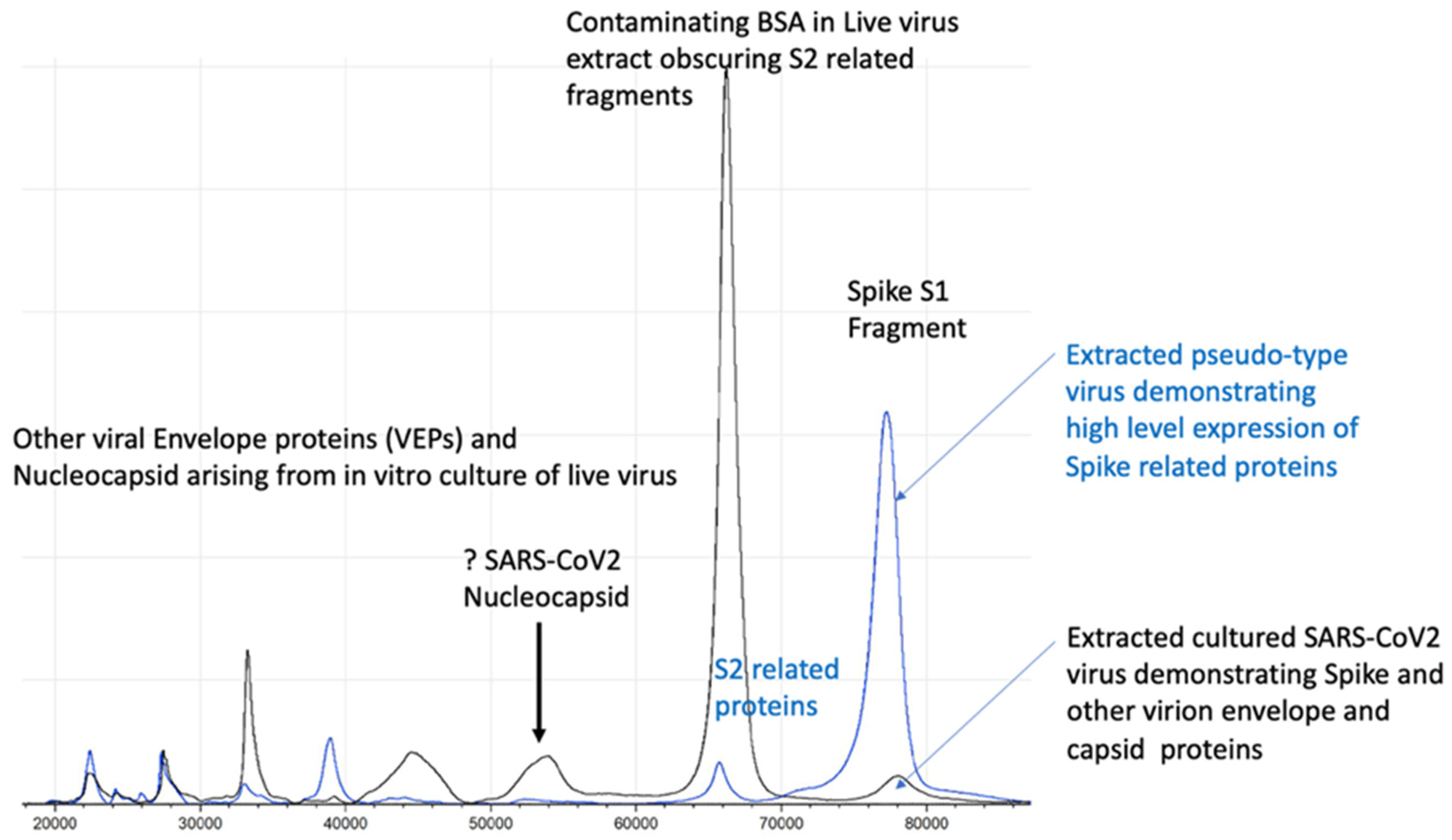 Viruses 14 01958 g005