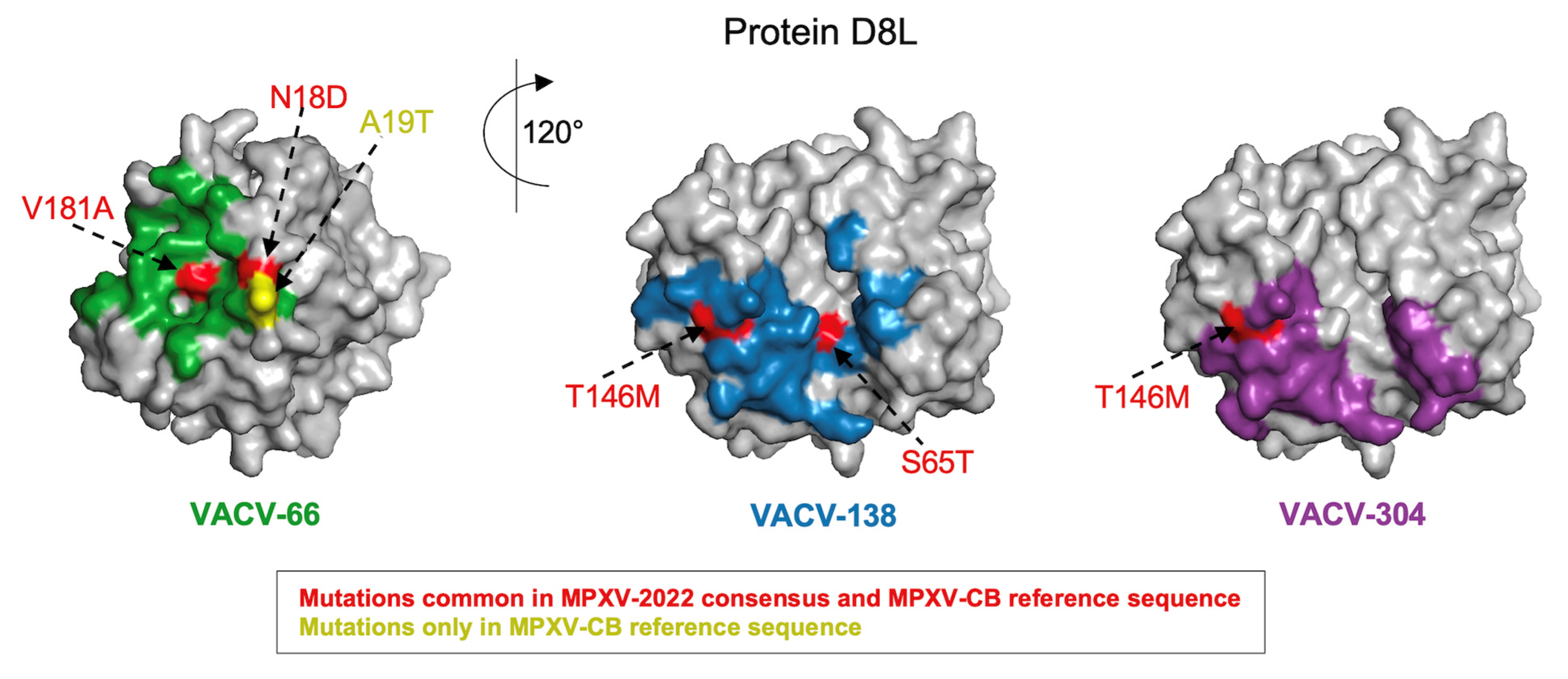 Viruses 14 01960 g002