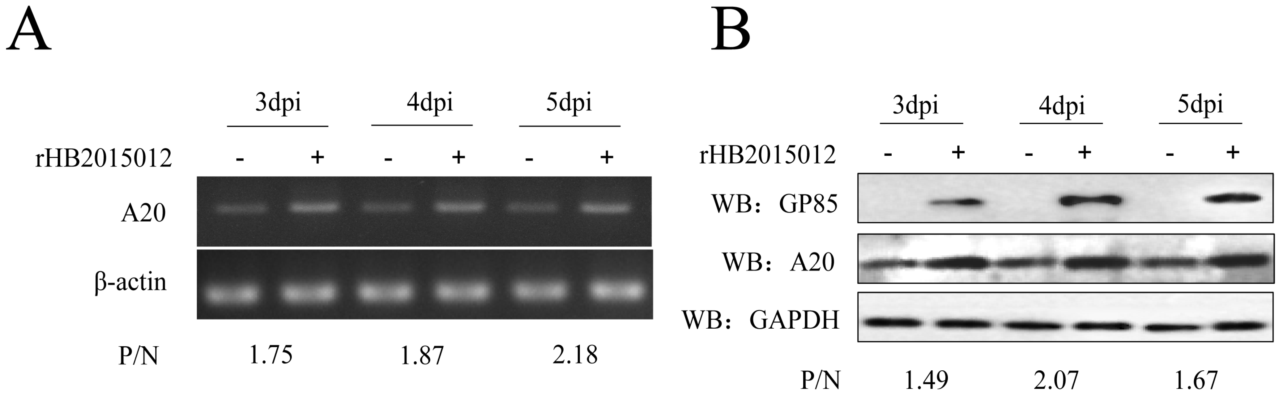 Viruses 14 02210 g001