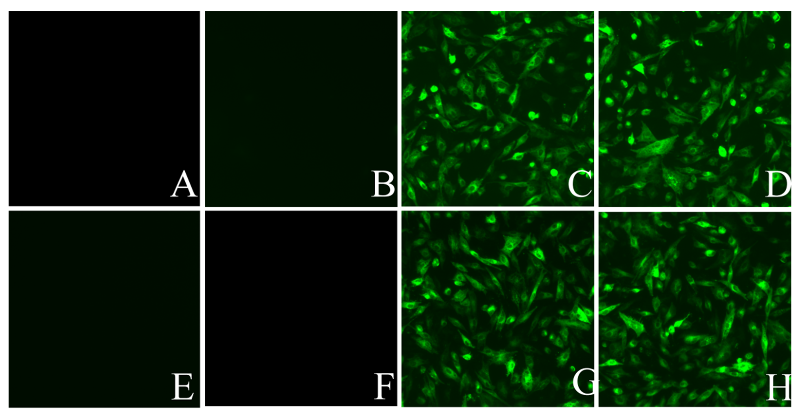 Viruses 14 02210 g006