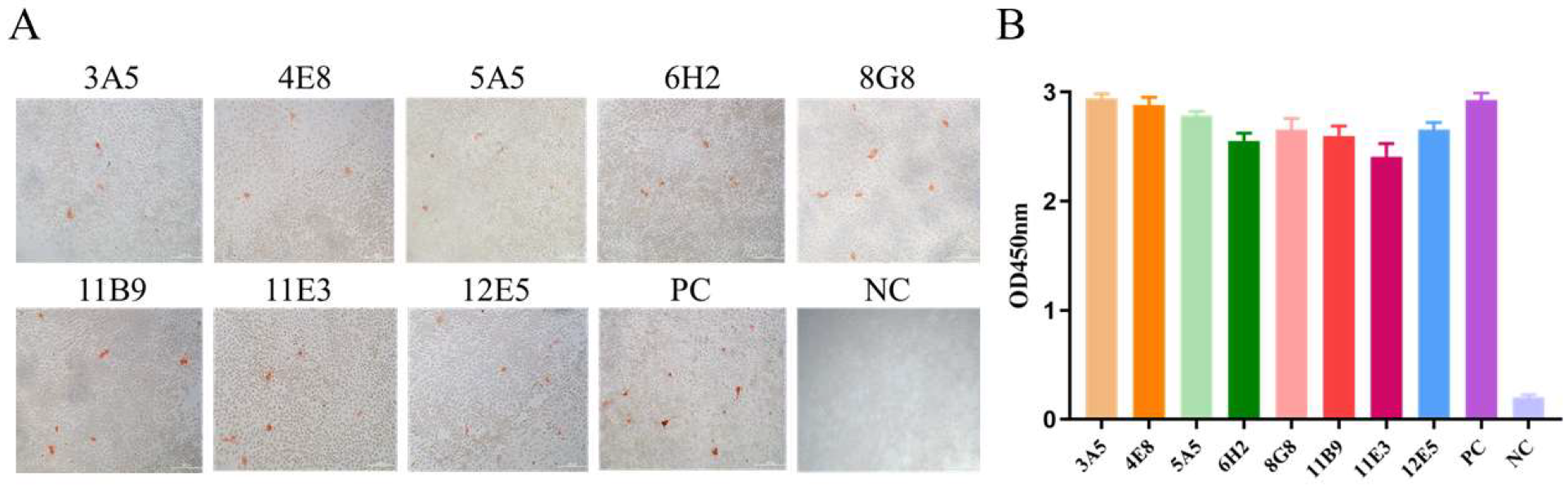 Viruses 14 02530 g002