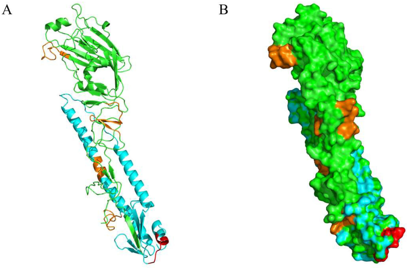 Viruses 14 02530 g005
