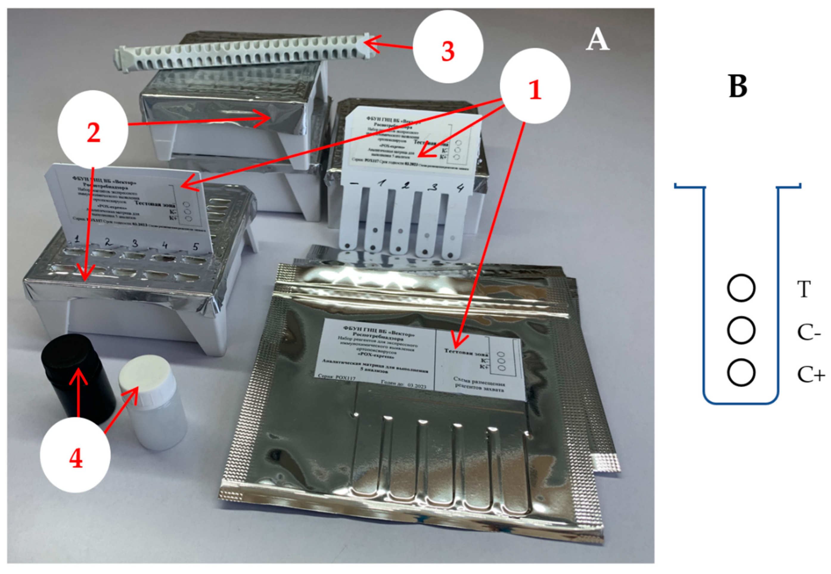 Viruses 14 02580 g001