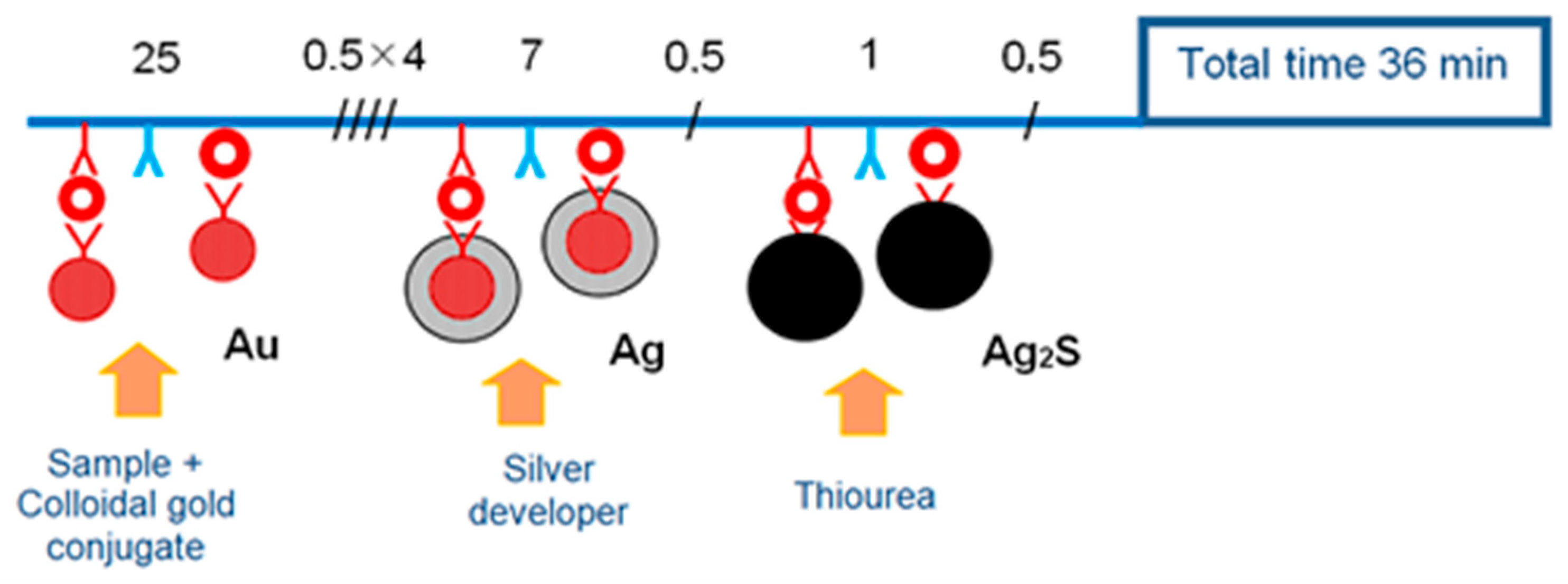 Viruses 14 02580 g002