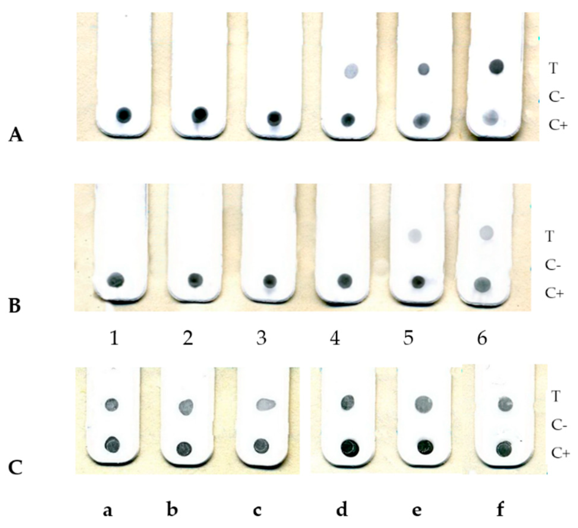 Viruses 14 02580 g004