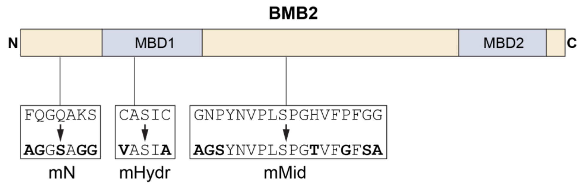 Viruses 14 02742 g004