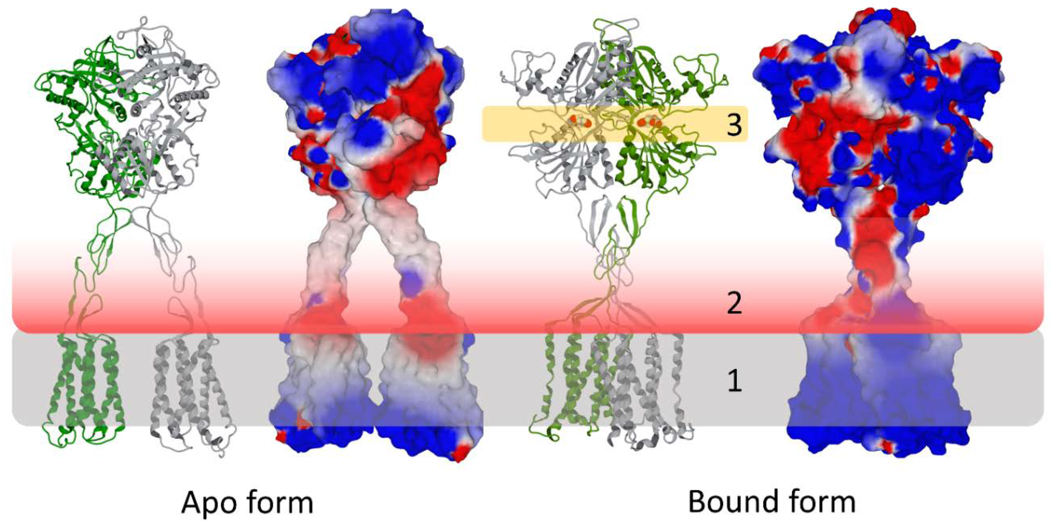 Viruses 15 00284 g003