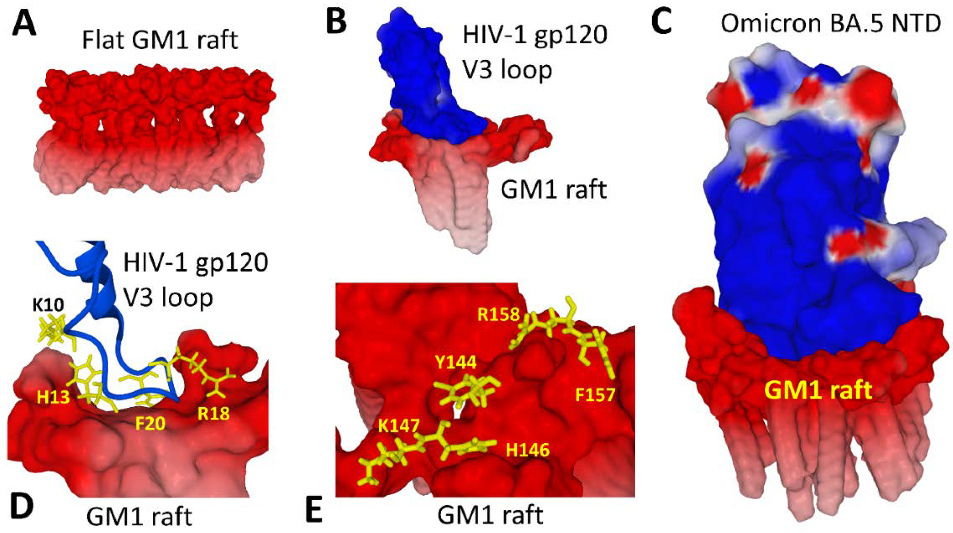 Viruses 15 00284 g004