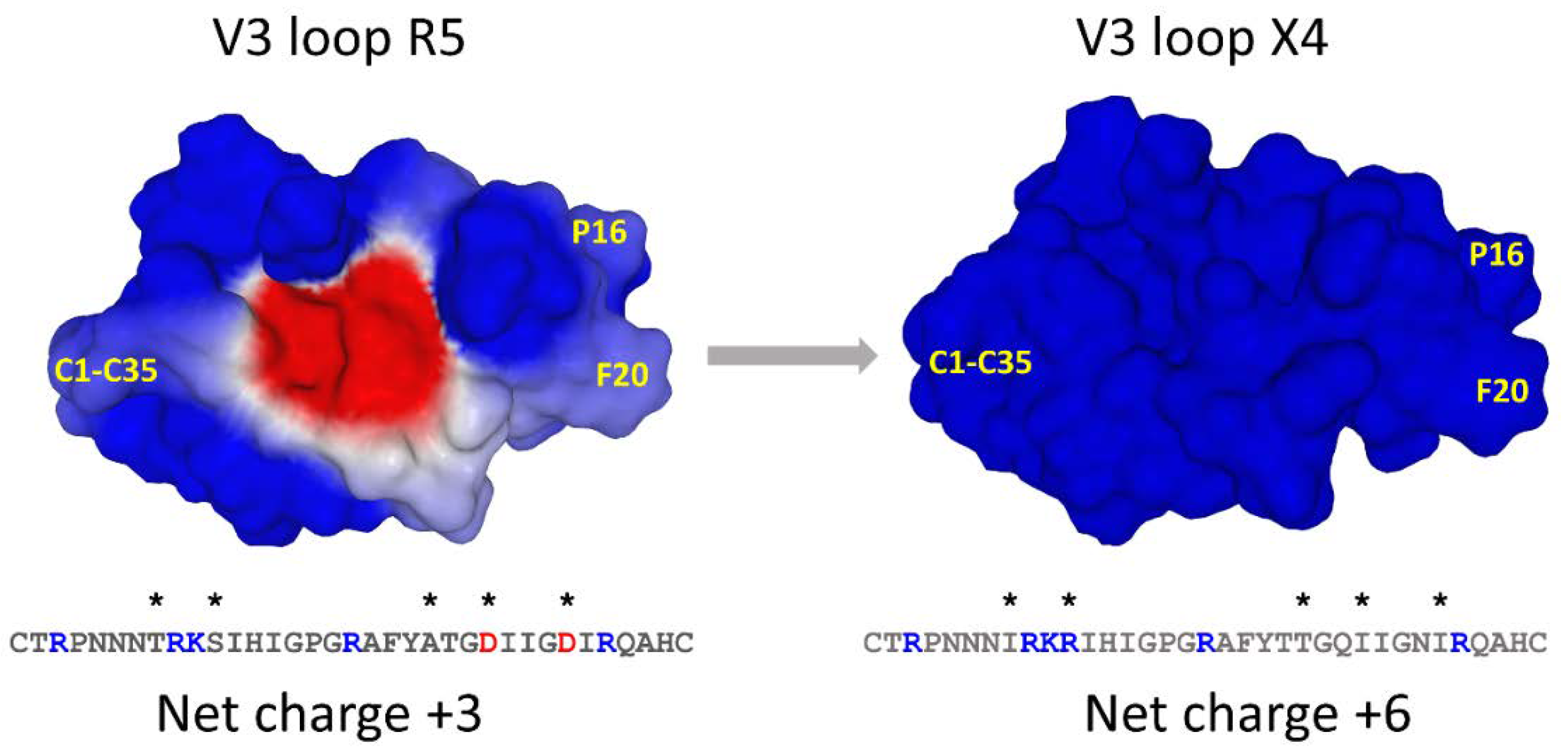 Viruses 15 00284 g006