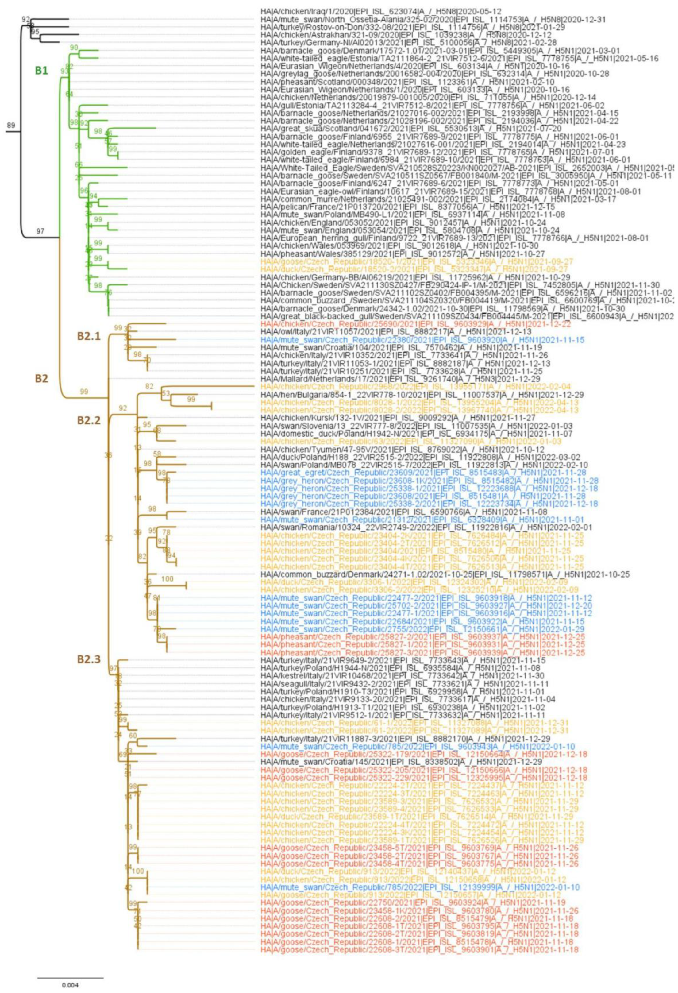 Viruses 15 00293 g002