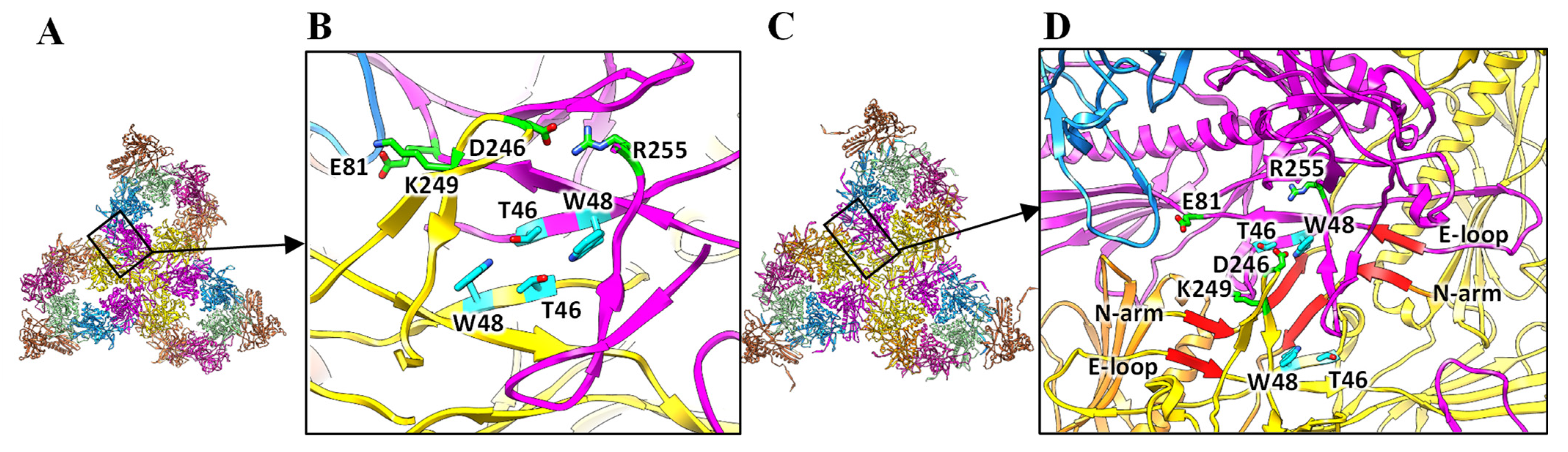 Viruses 15 00355 g003