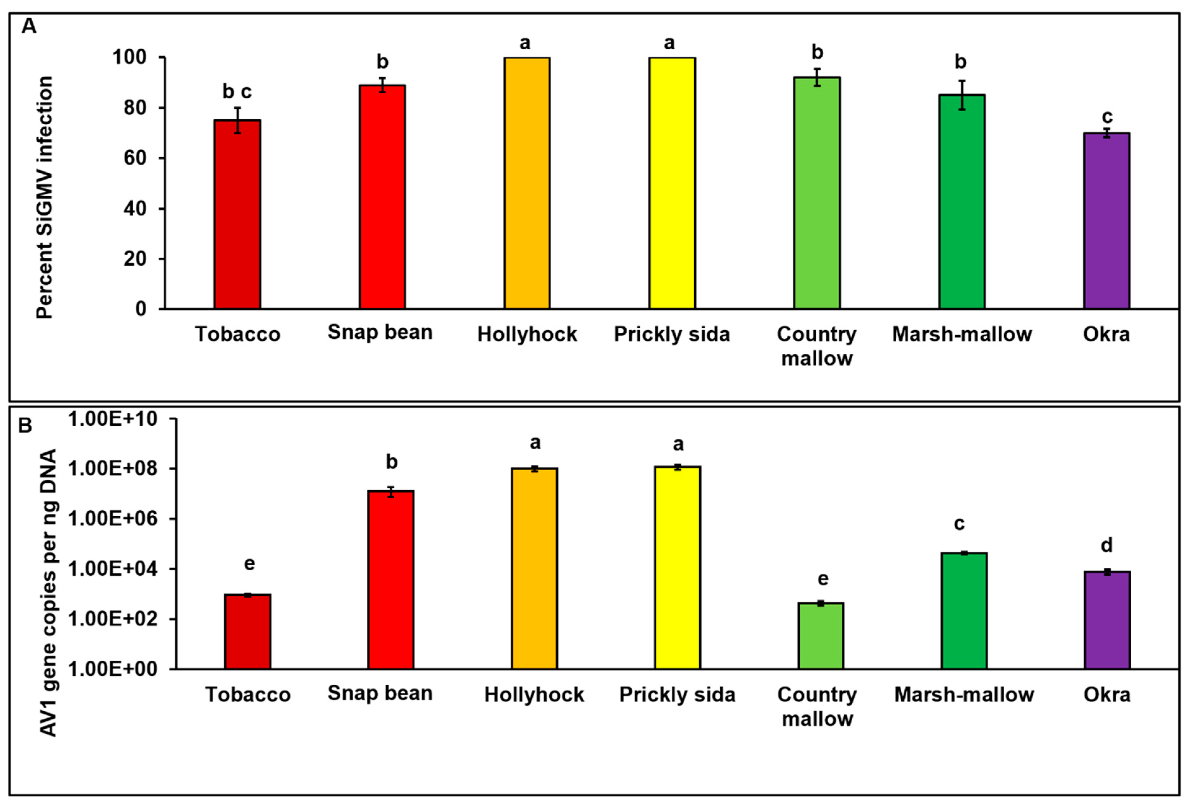 Viruses 15 00357 g002