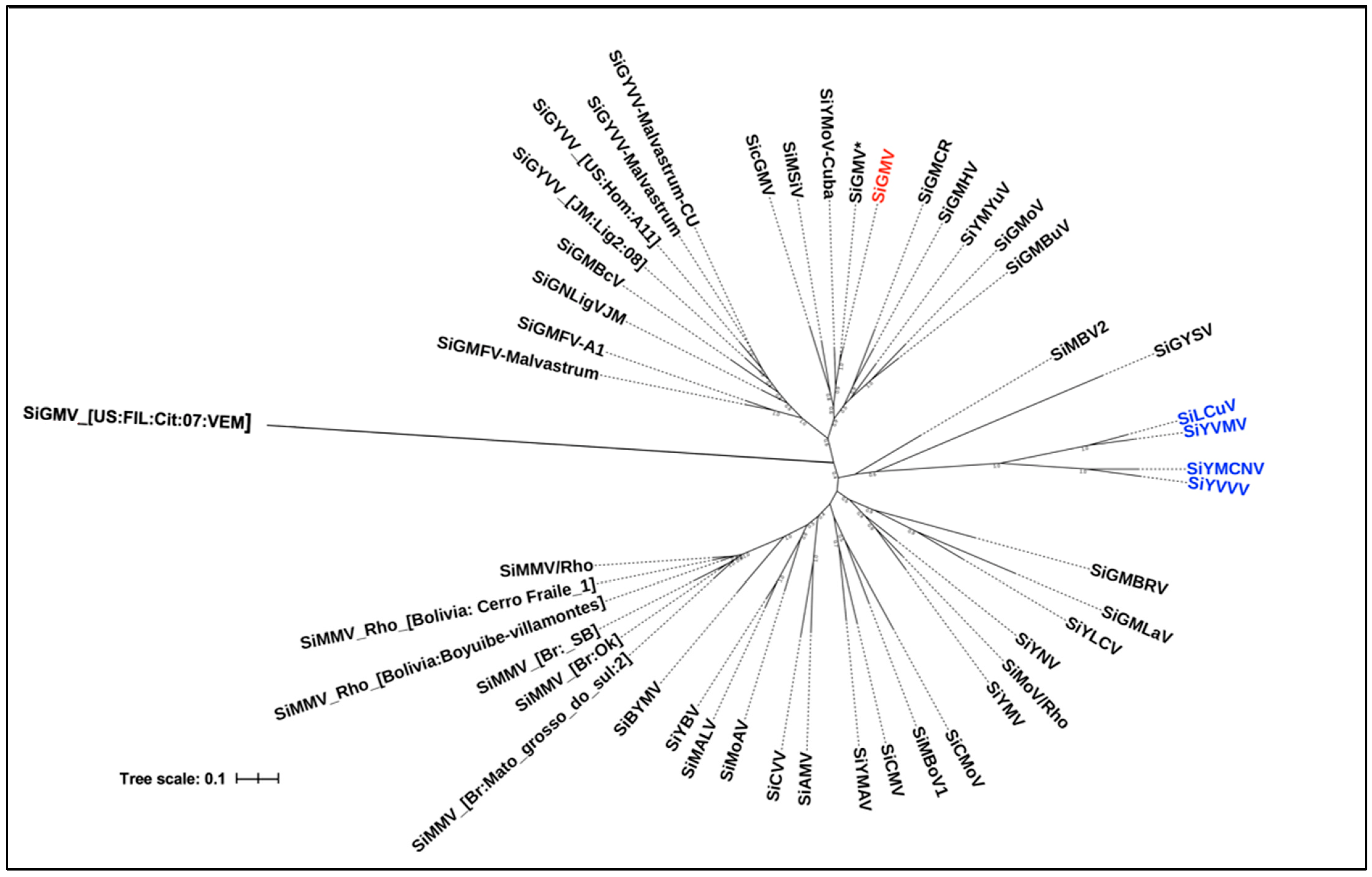 Viruses 15 00357 g007