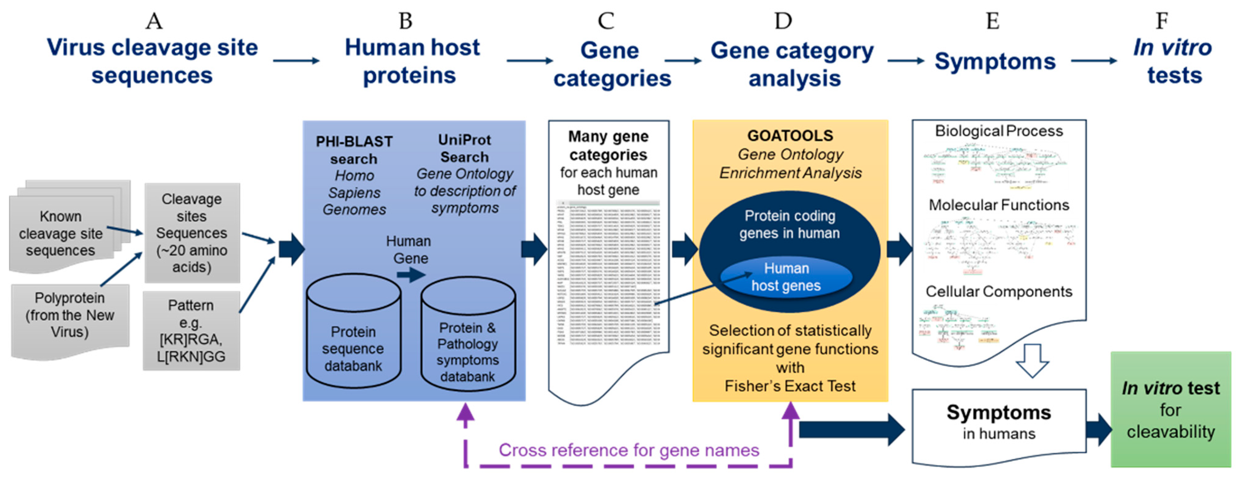 Viruses 15 00542 g001